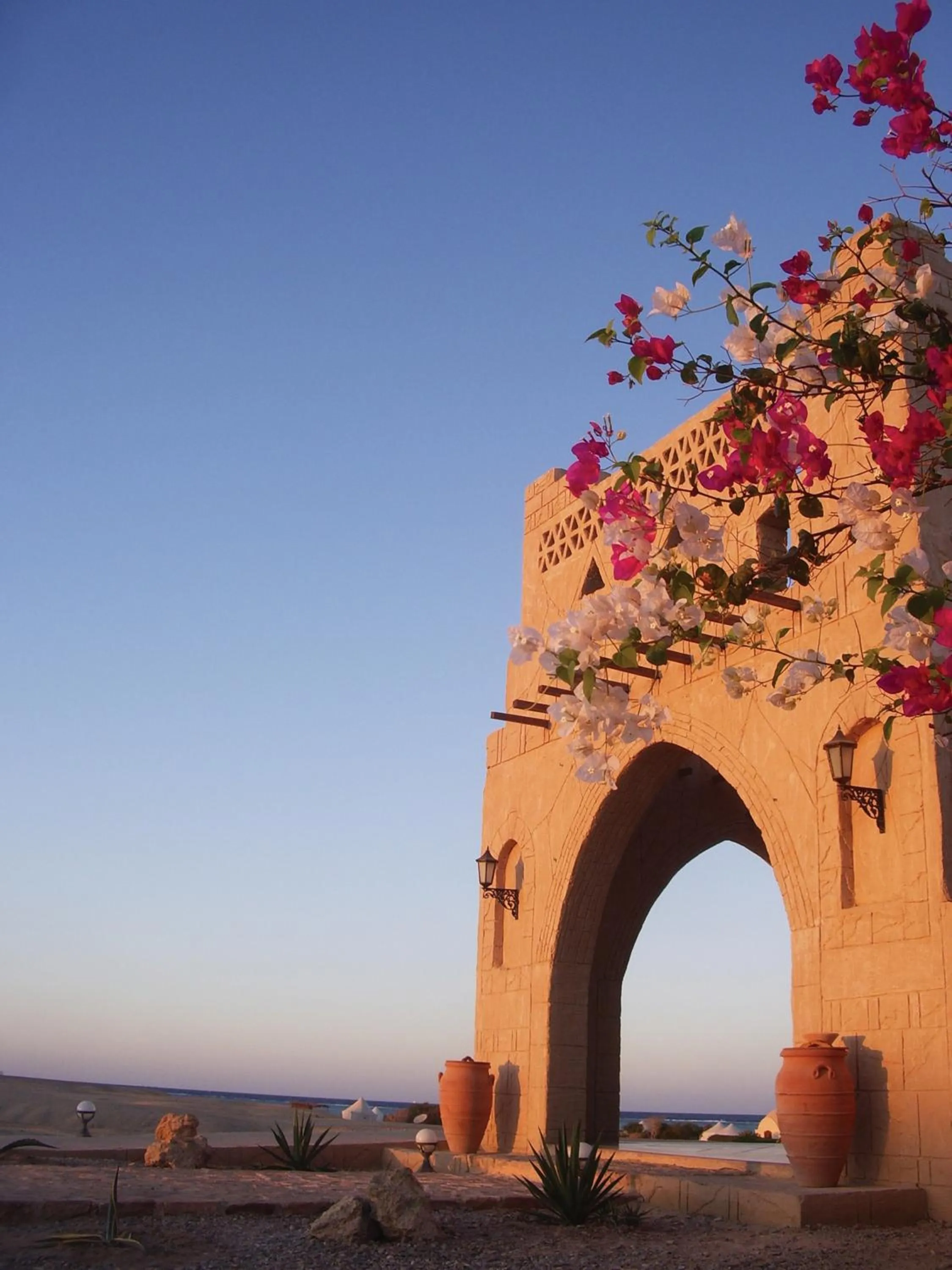 Restaurant/places to eat in Marsa Shagra Village