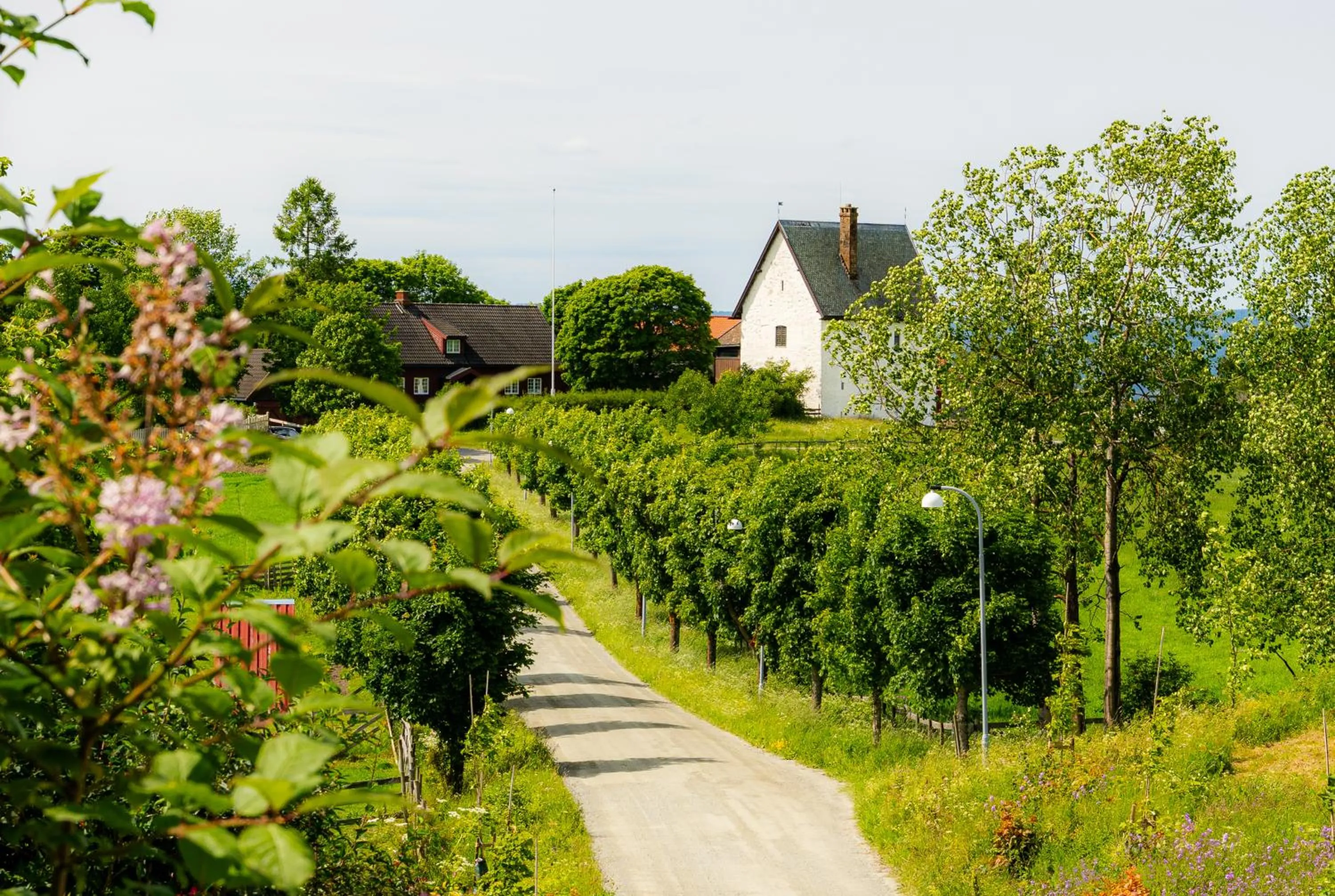 Off site in Granavolden Hotel & Gjæstgiveri