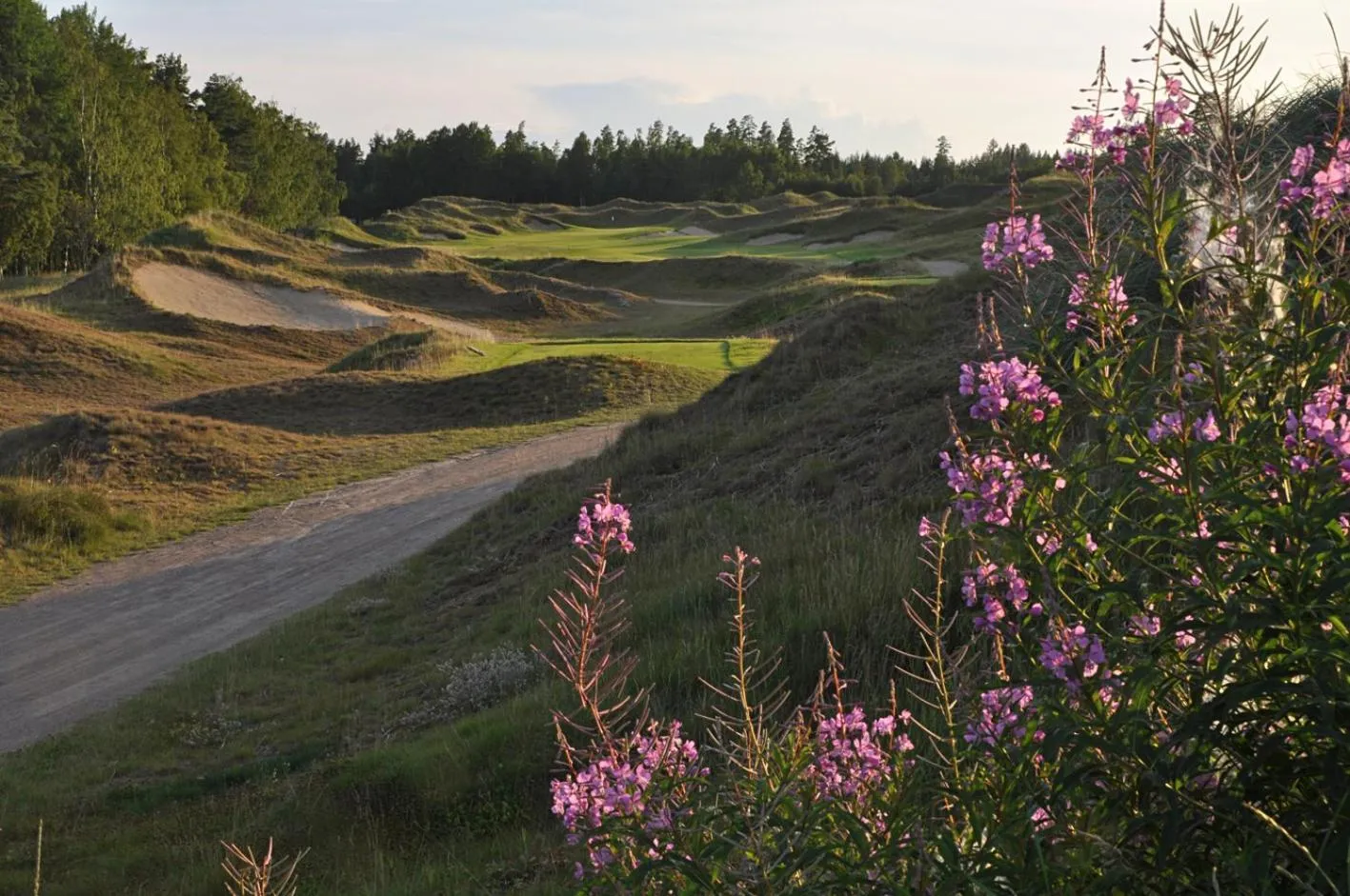 Natural landscape in Sand Golf Club