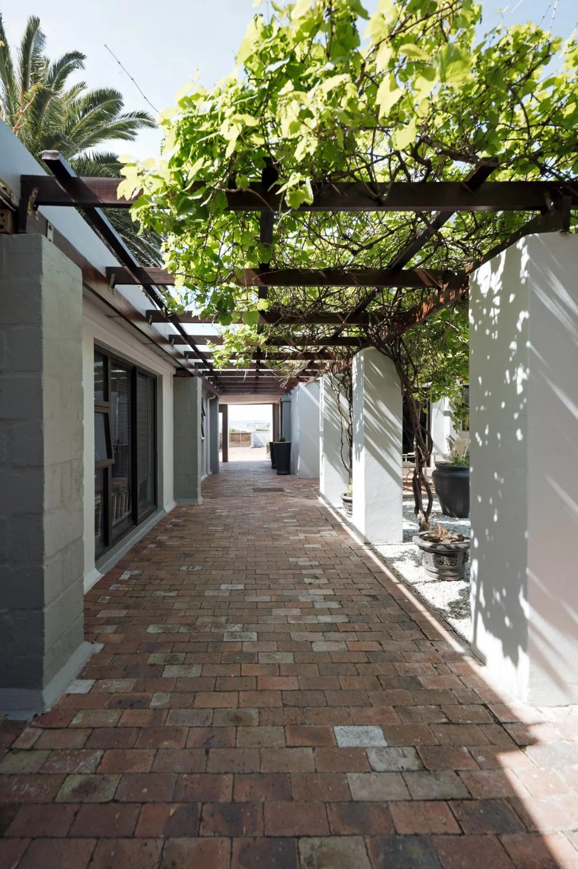 Garden in Whale Away Guest House