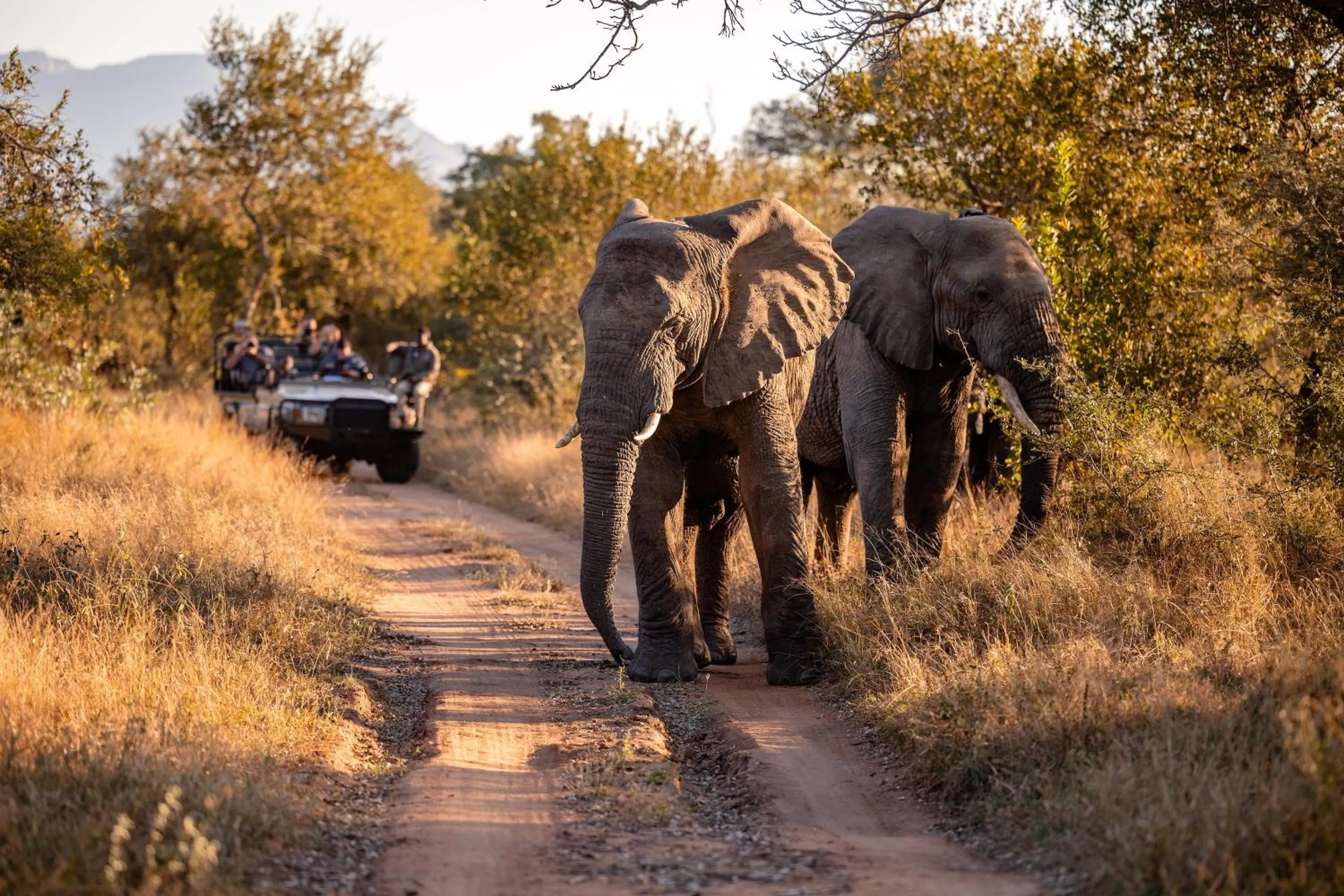 Activities in Kapama Karula