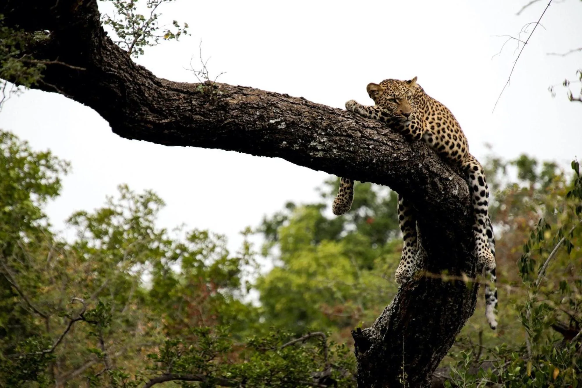 Activities in Kapama Karula