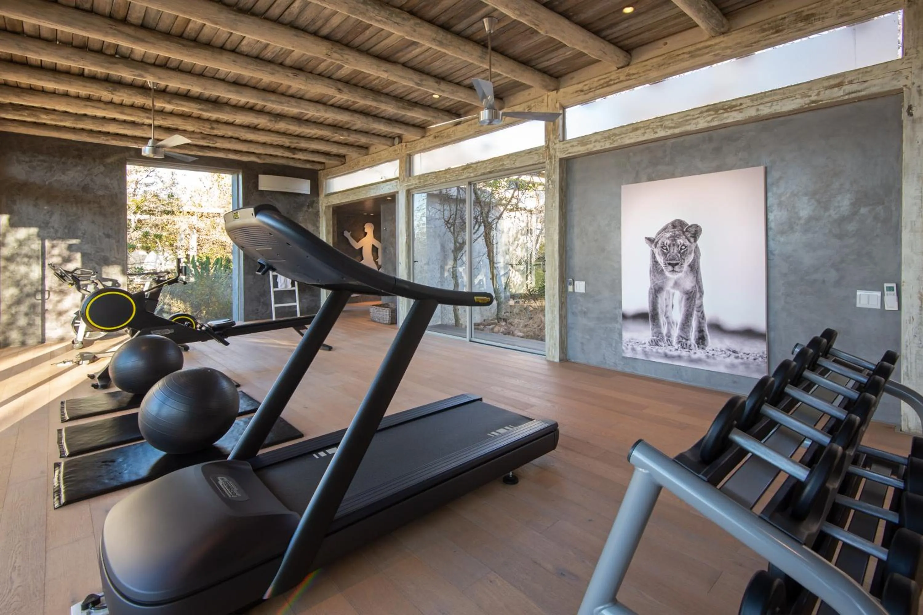 Fitness centre/facilities in Kapama Karula