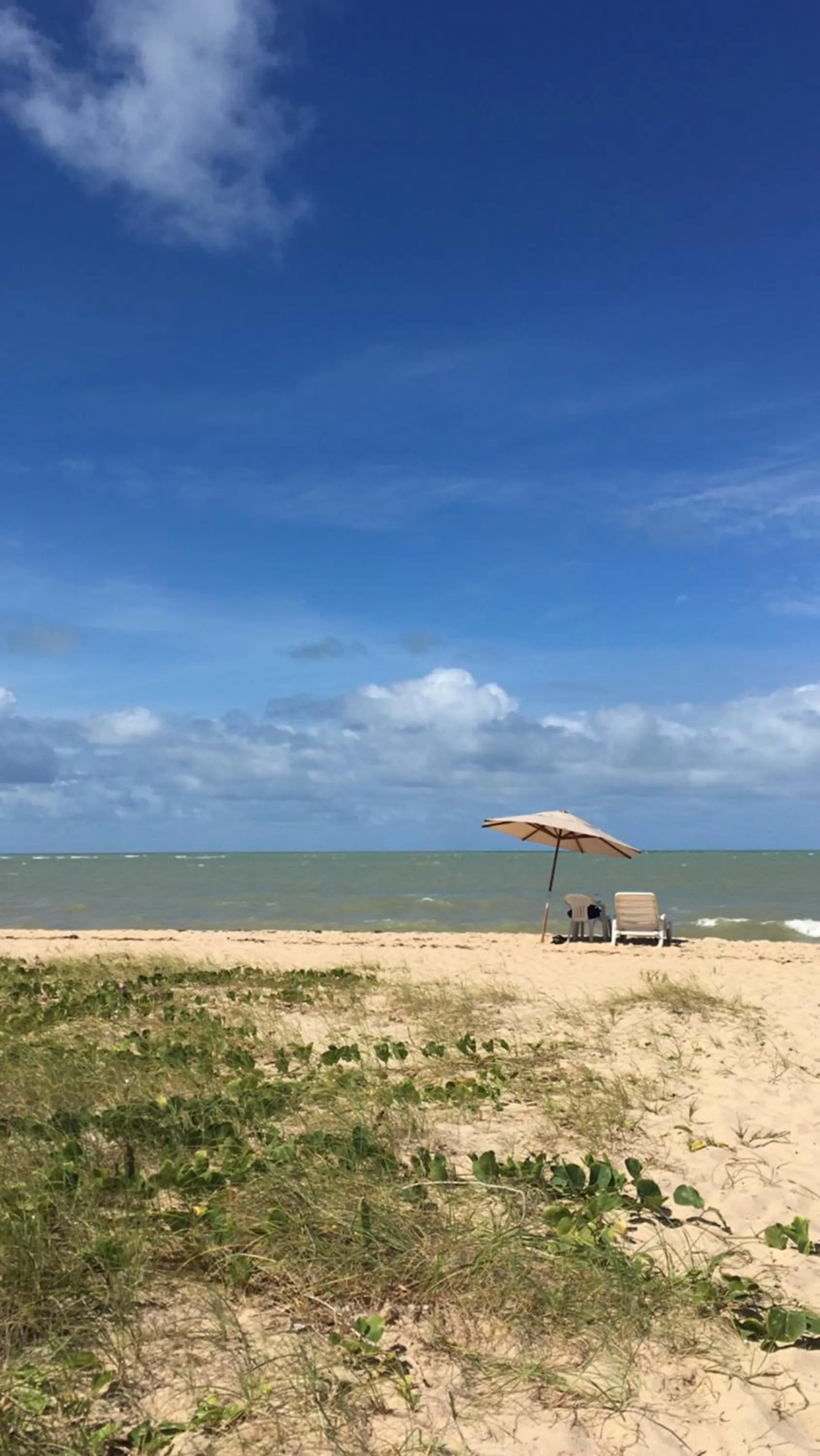 Natural landscape in NUMAR Hotel