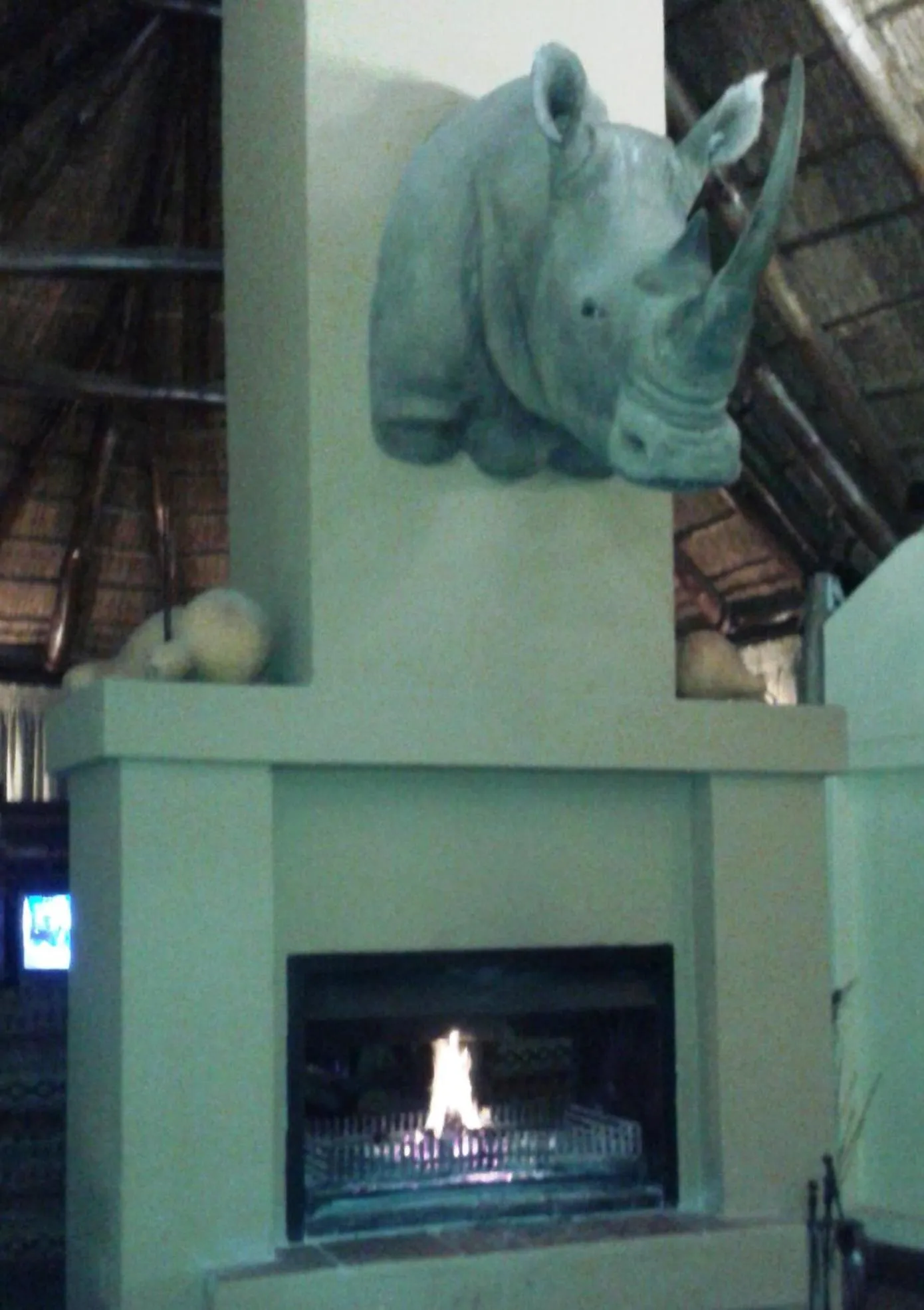 Communal lounge/ TV room in Premier Resort Mpongo Private Game Reserve