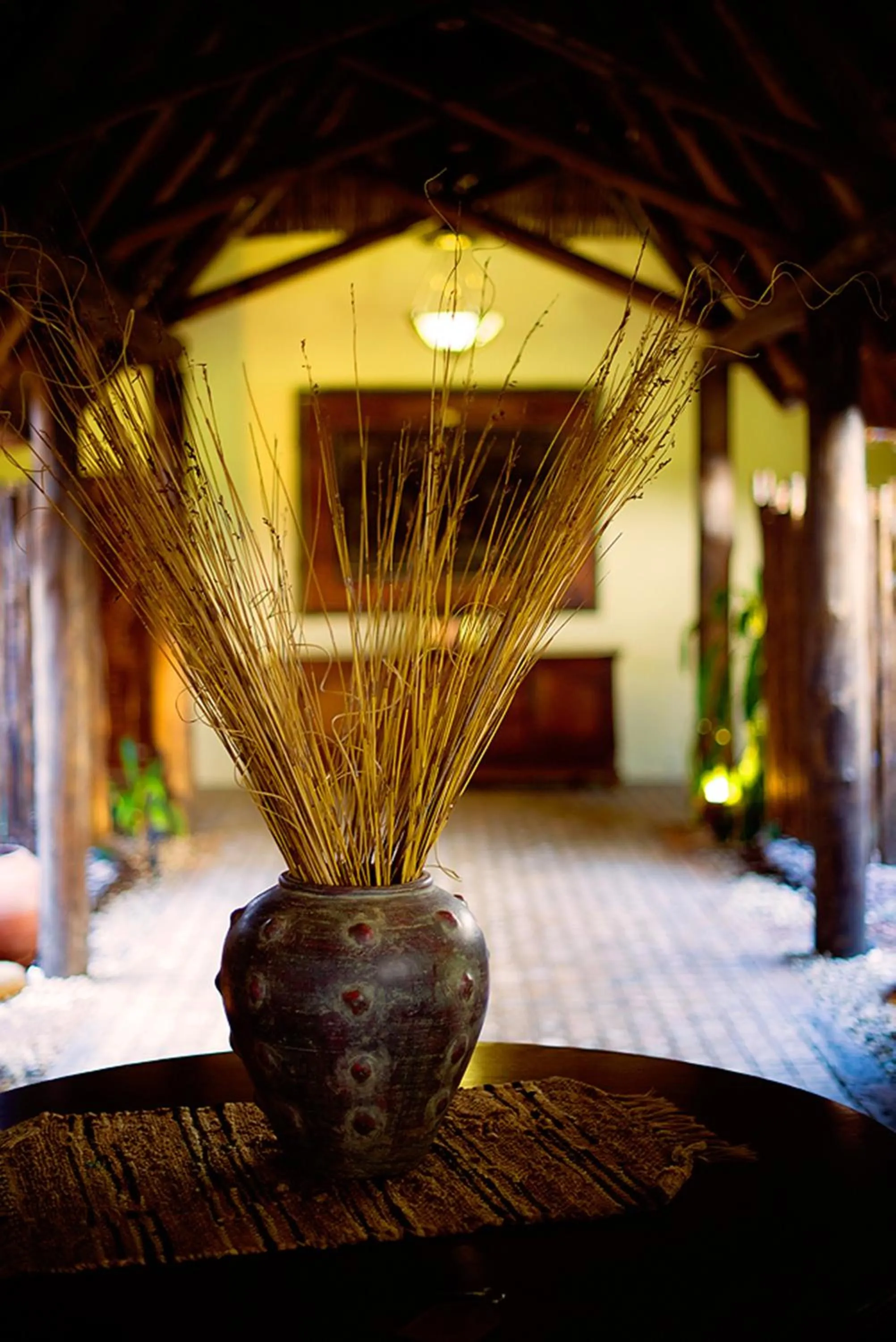 Balcony/Terrace in Premier Resort Mpongo Private Game Reserve