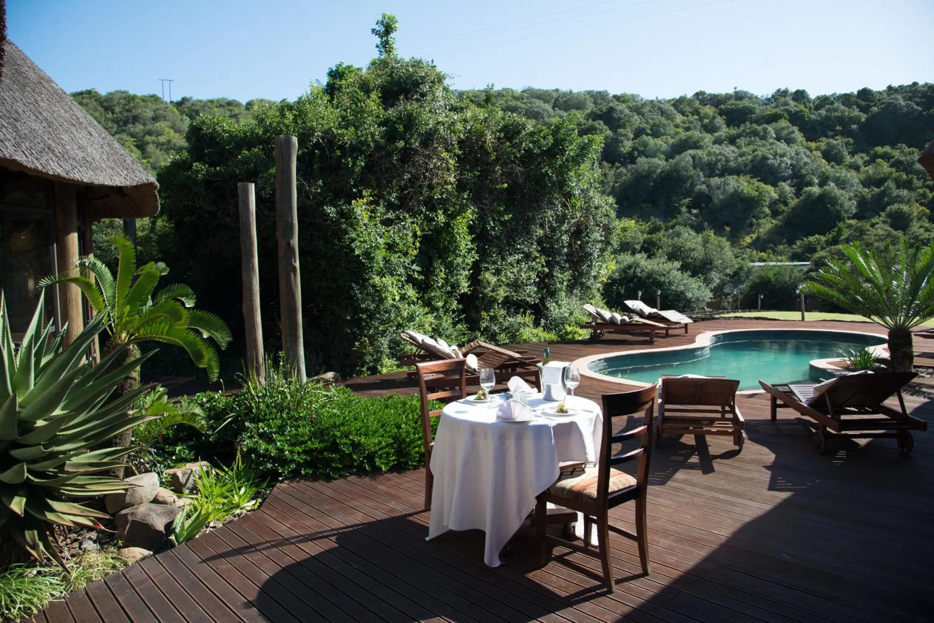Garden in Premier Resort Mpongo Private Game Reserve
