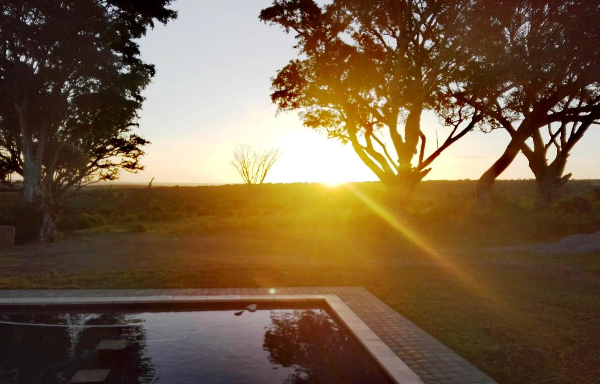 On site in Premier Resort Mpongo Private Game Reserve