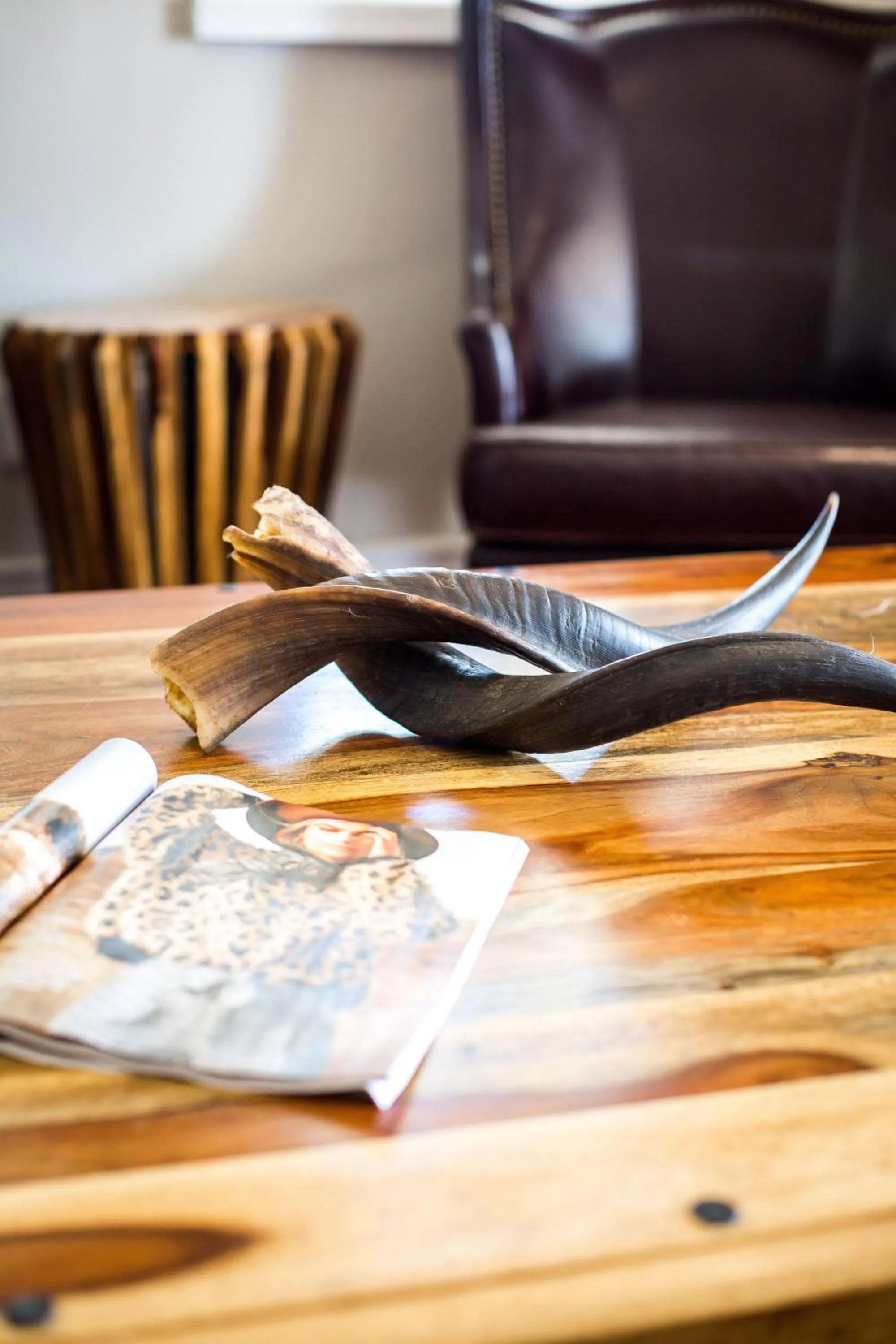 Decorative detail in Premier Resort Mpongo Private Game Reserve