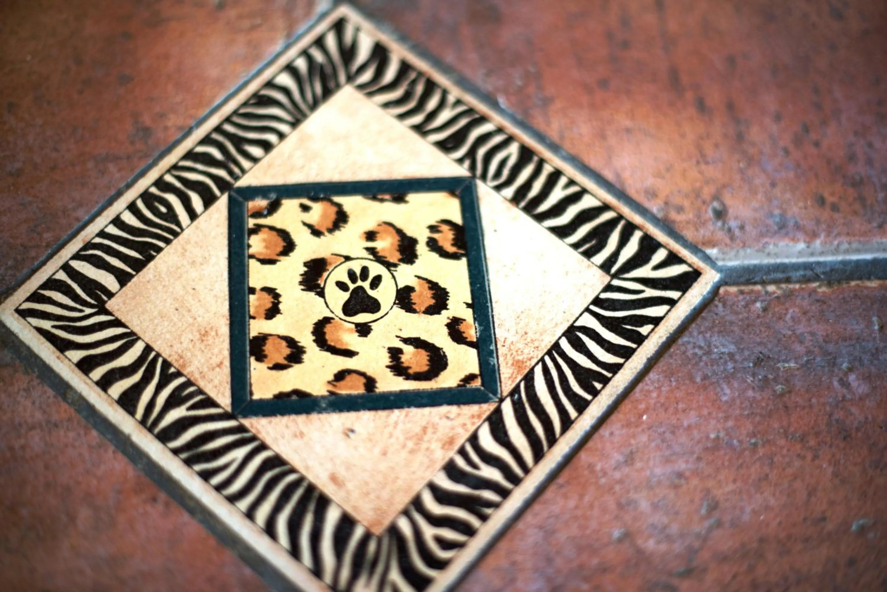 Decorative detail in Premier Resort Mpongo Private Game Reserve