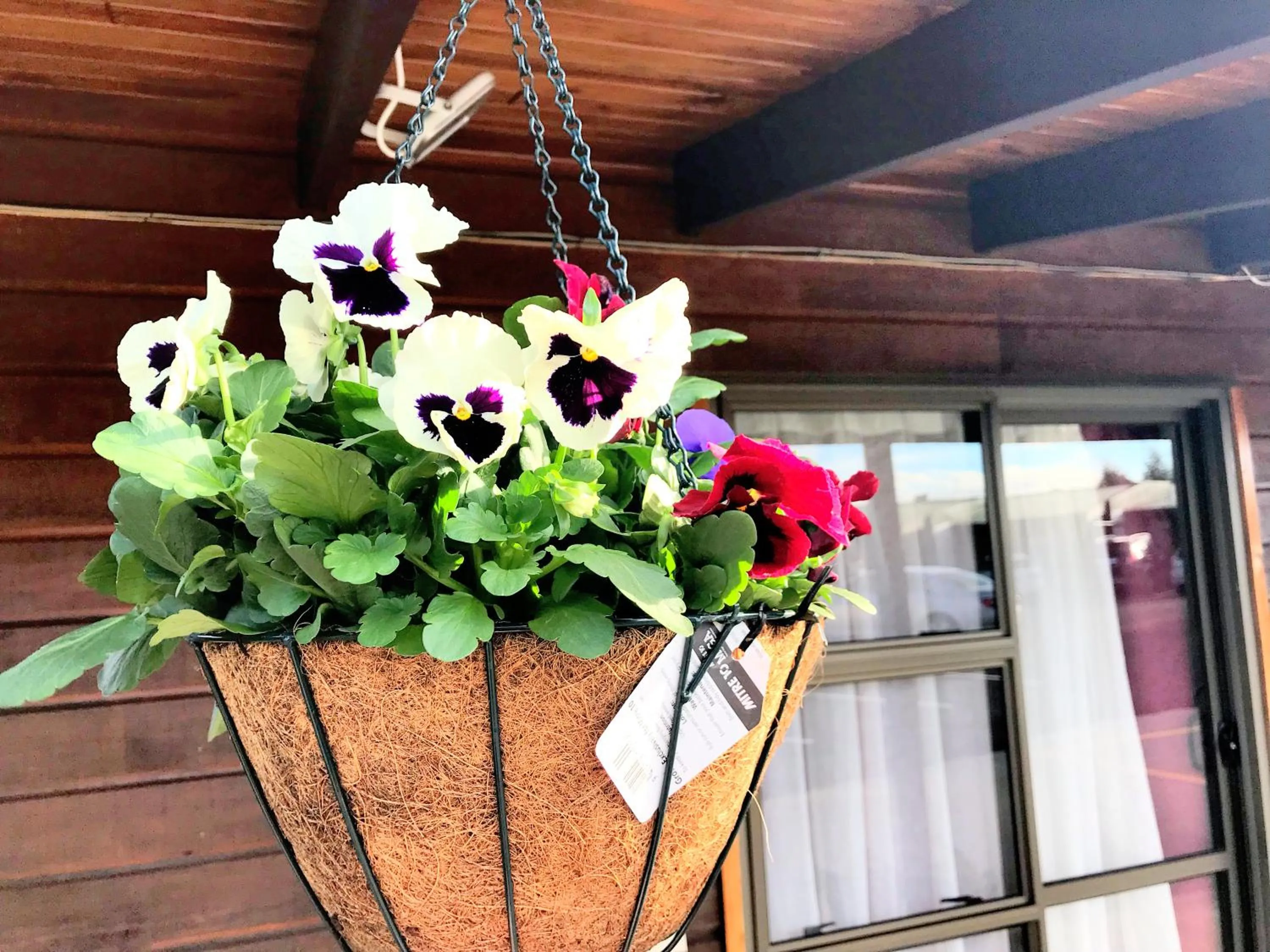 Property building in Grange Motel