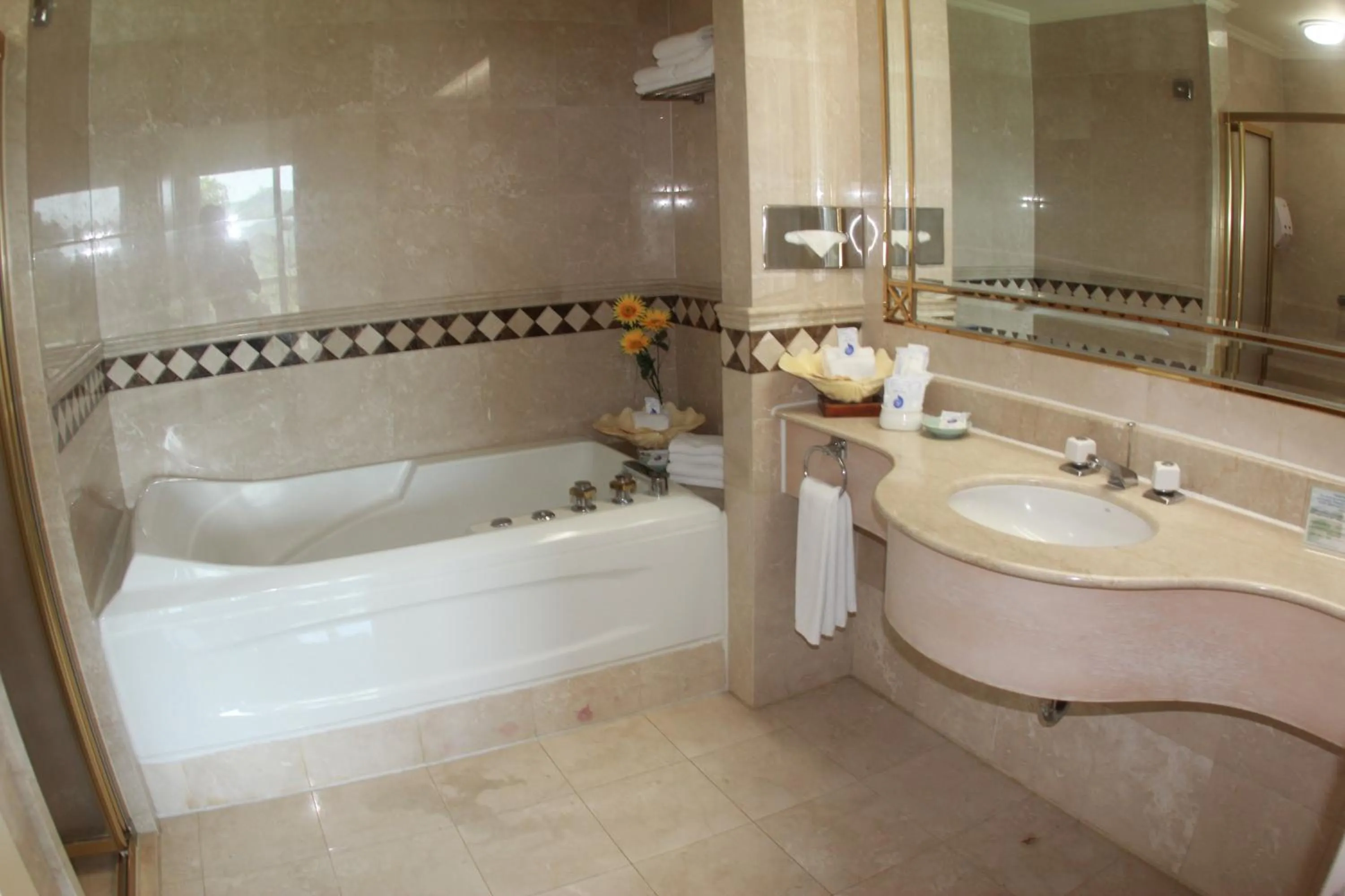 Bathroom in Palasia Hotel