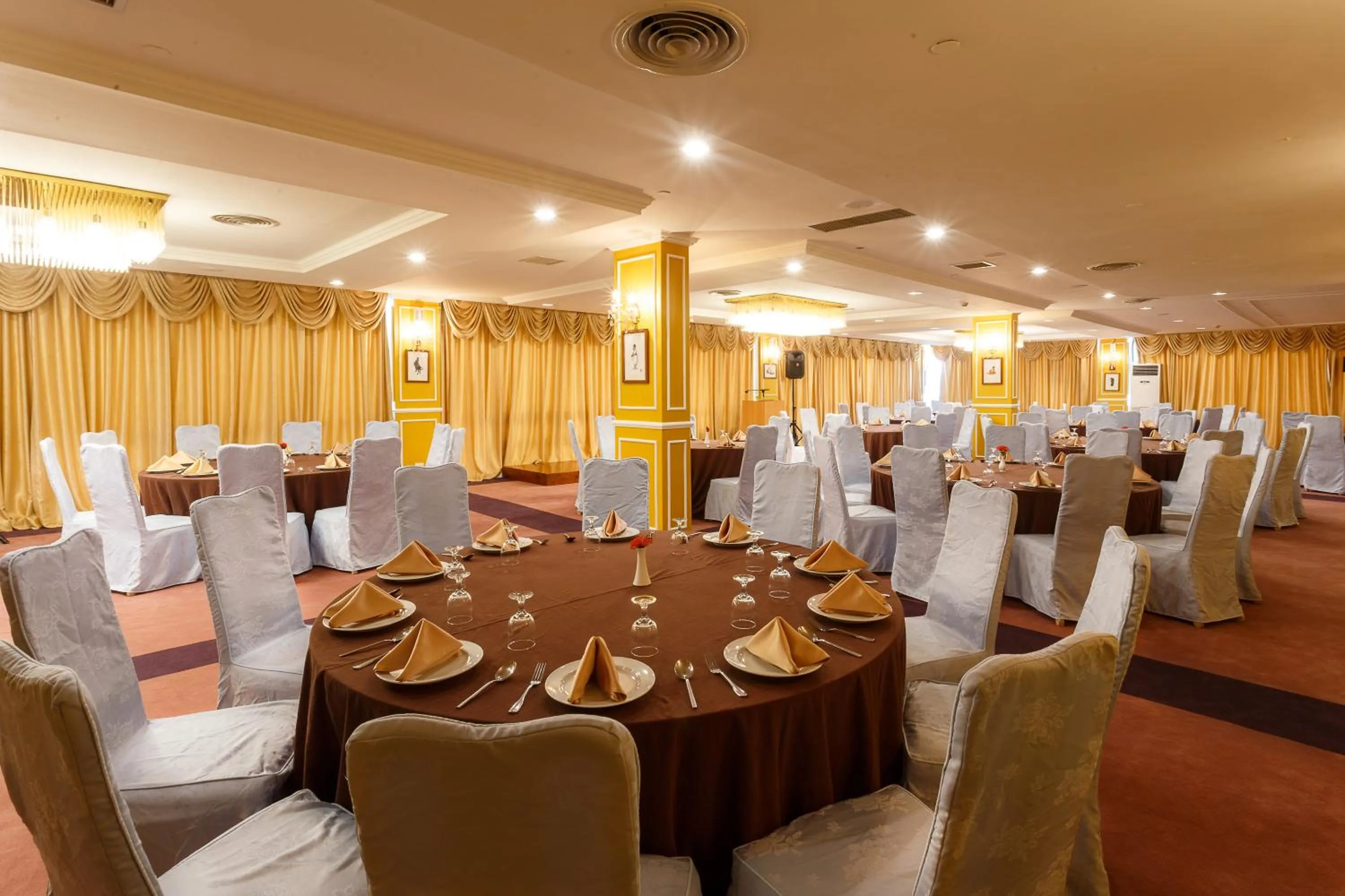 Banquet/Function facilities in Palasia Hotel