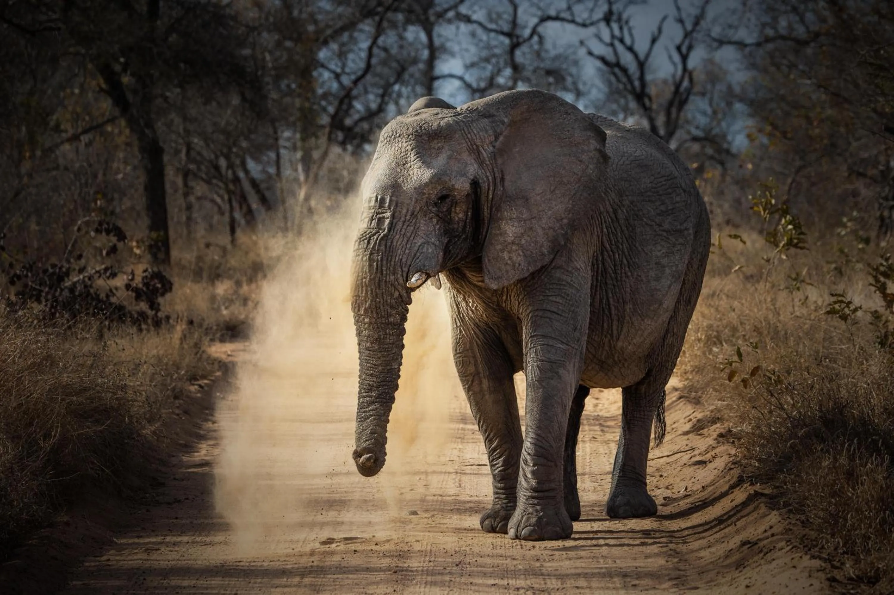 Natural landscape in Kapama River Lodge