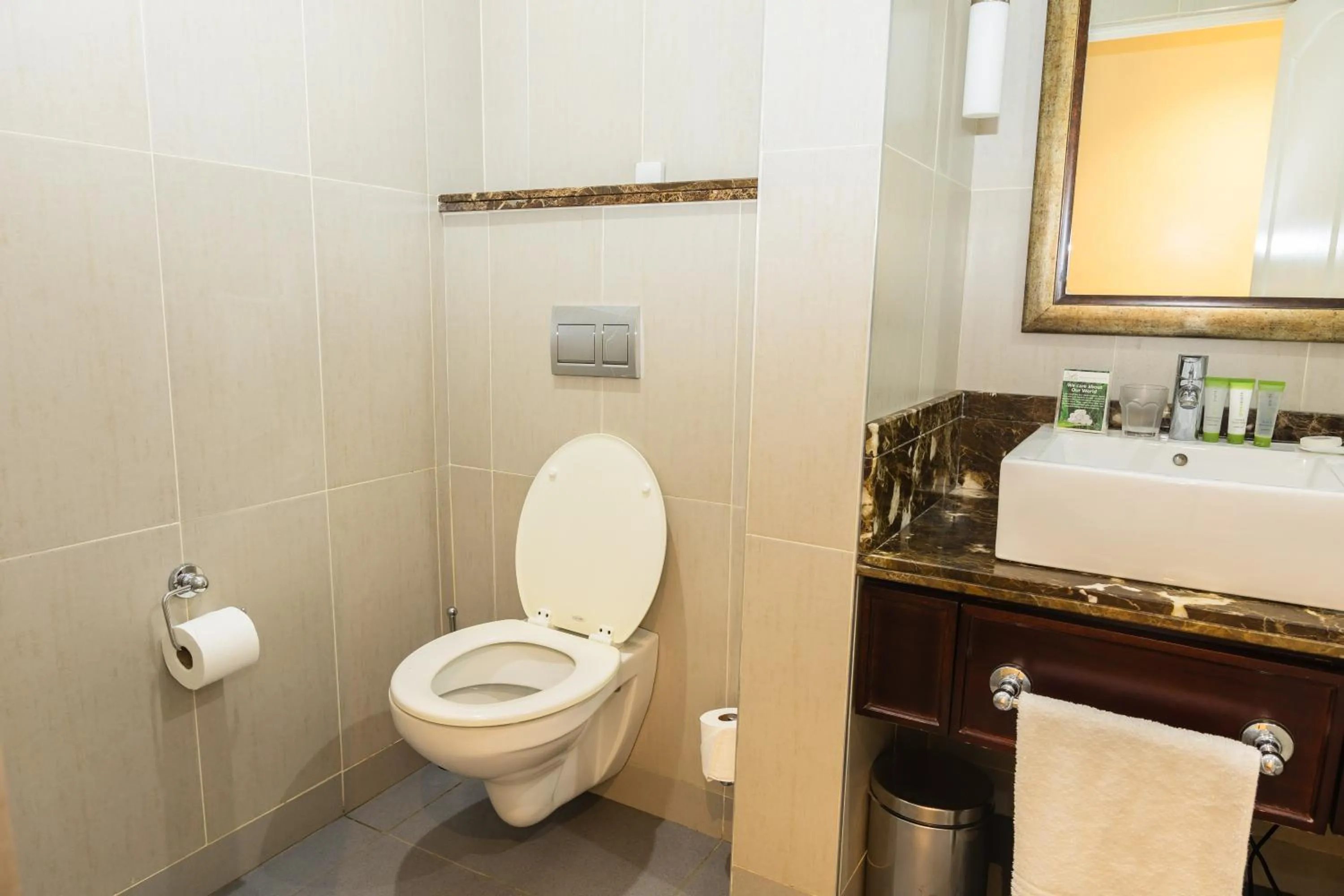 Toilet in Premier Hotel Regent