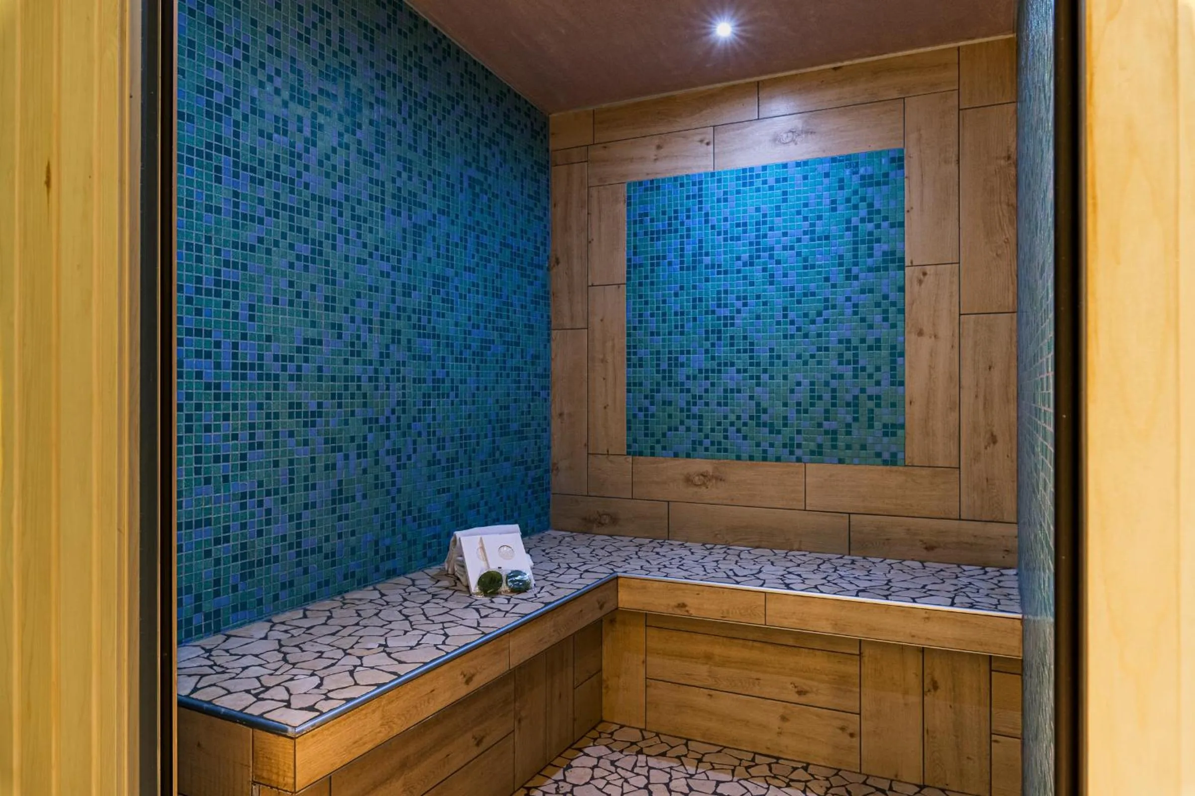 Swimming pool in Le Place Neuve