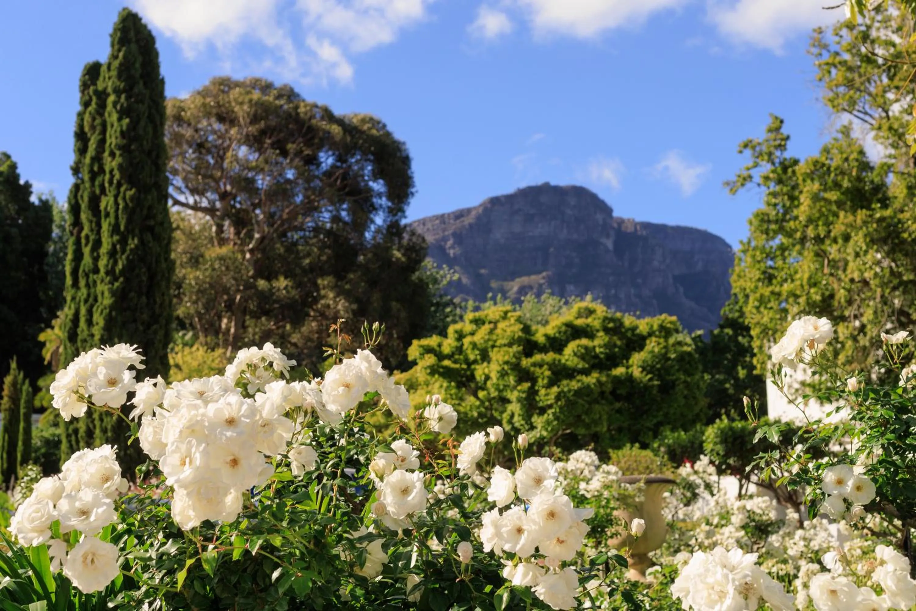 Garden in The Cellars-Hohenort