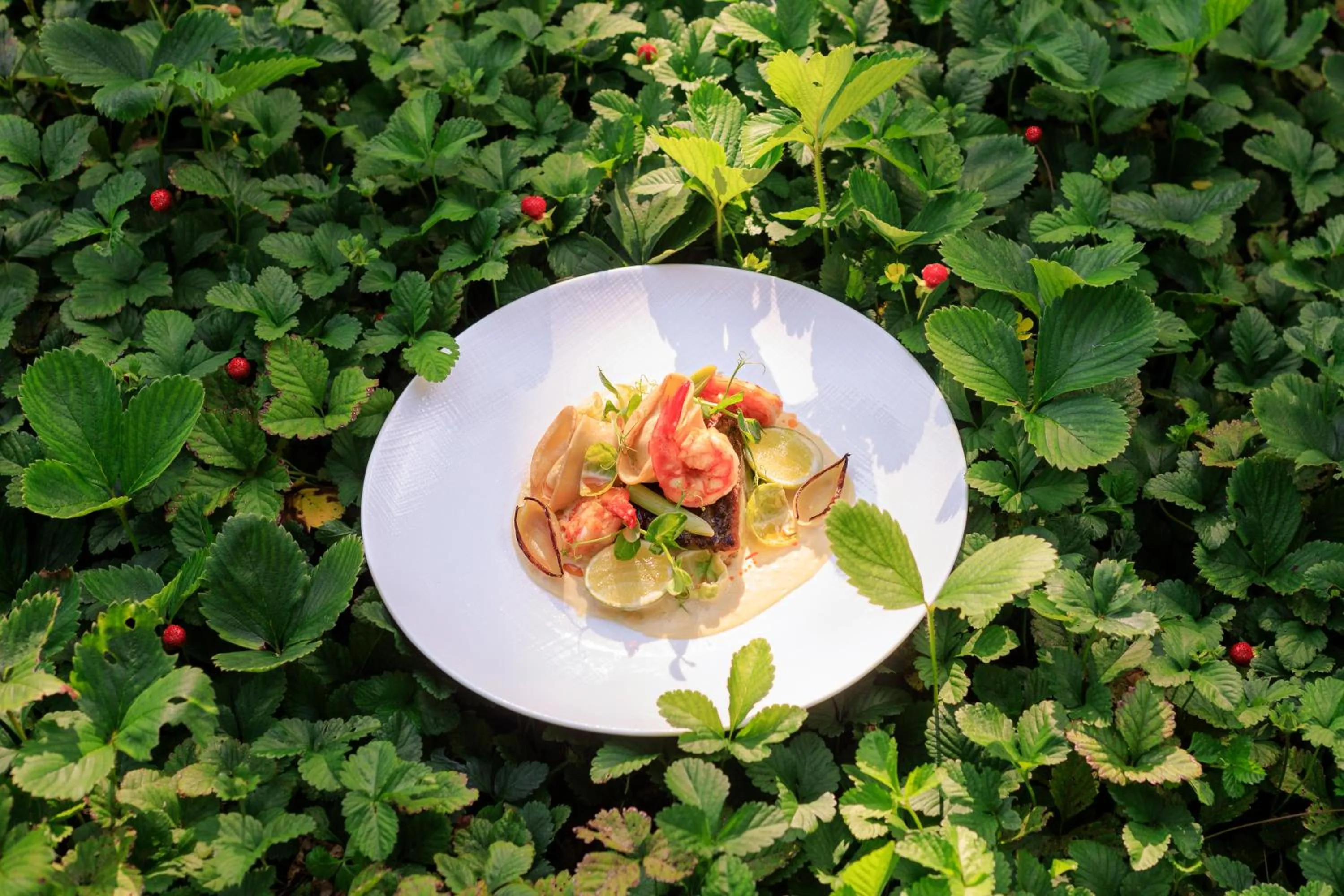 Restaurant/places to eat in The Cellars-Hohenort