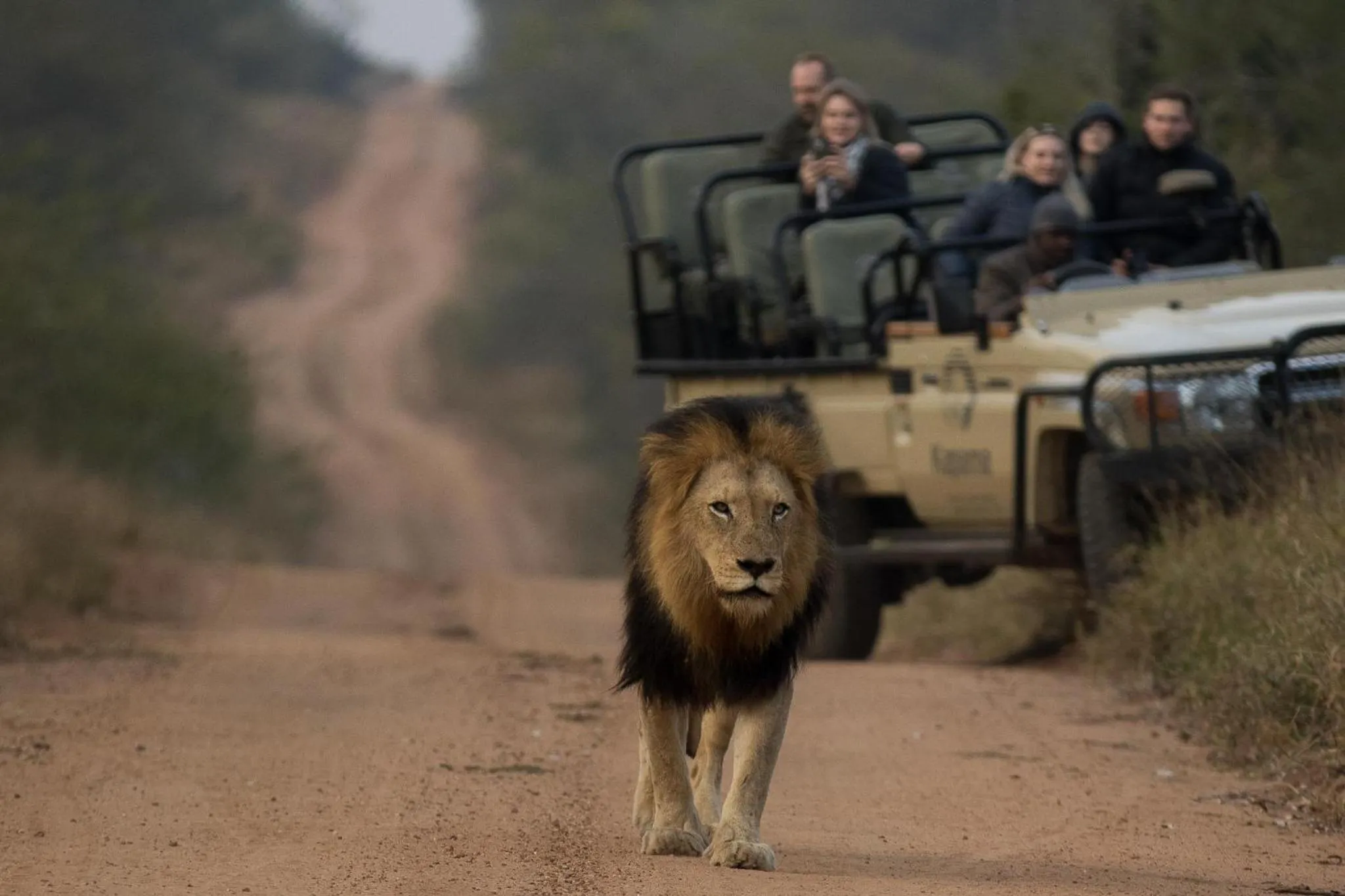 Activities in Kapama Buffalo Camp