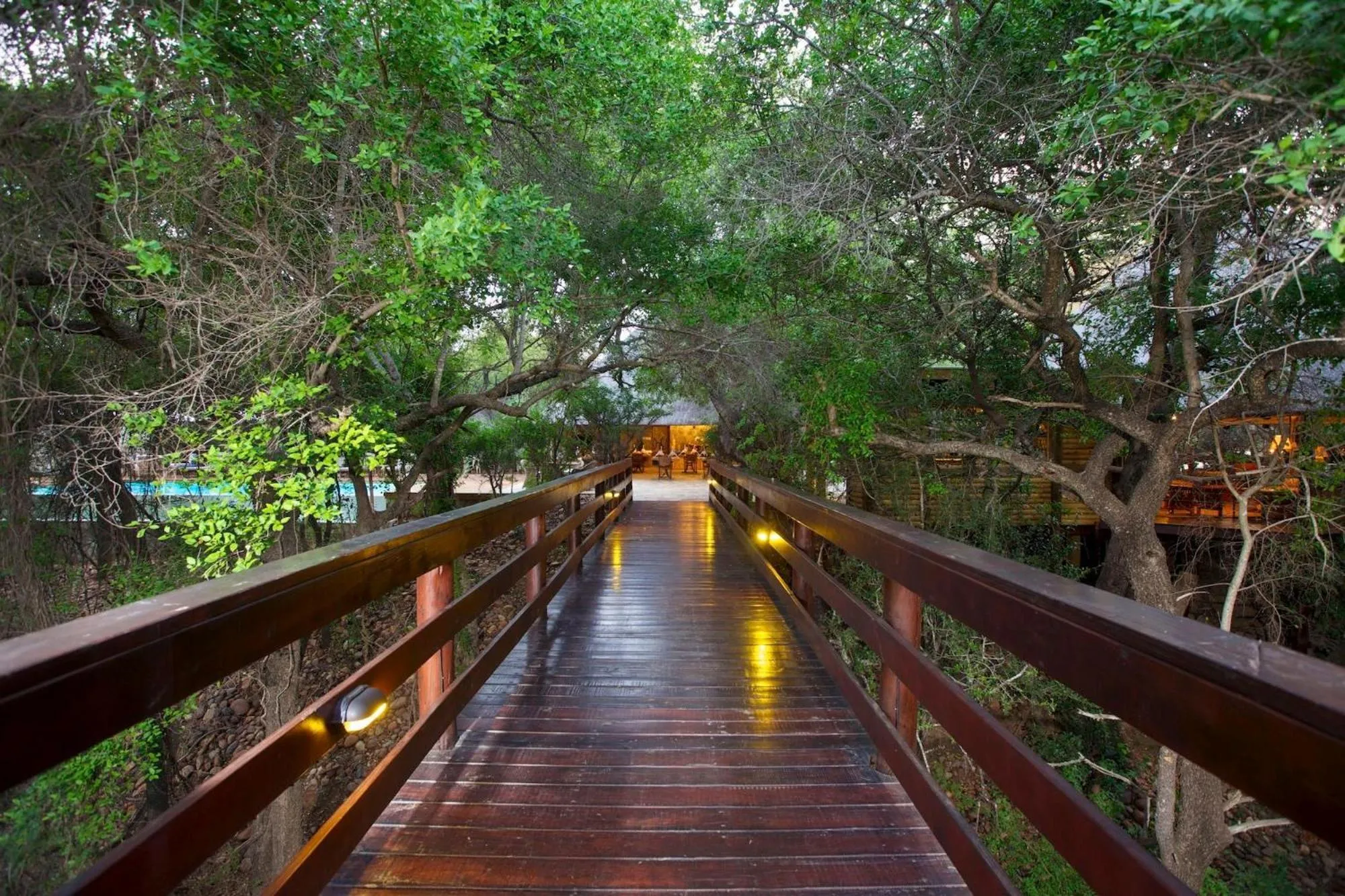 Natural landscape in Kapama Buffalo Camp