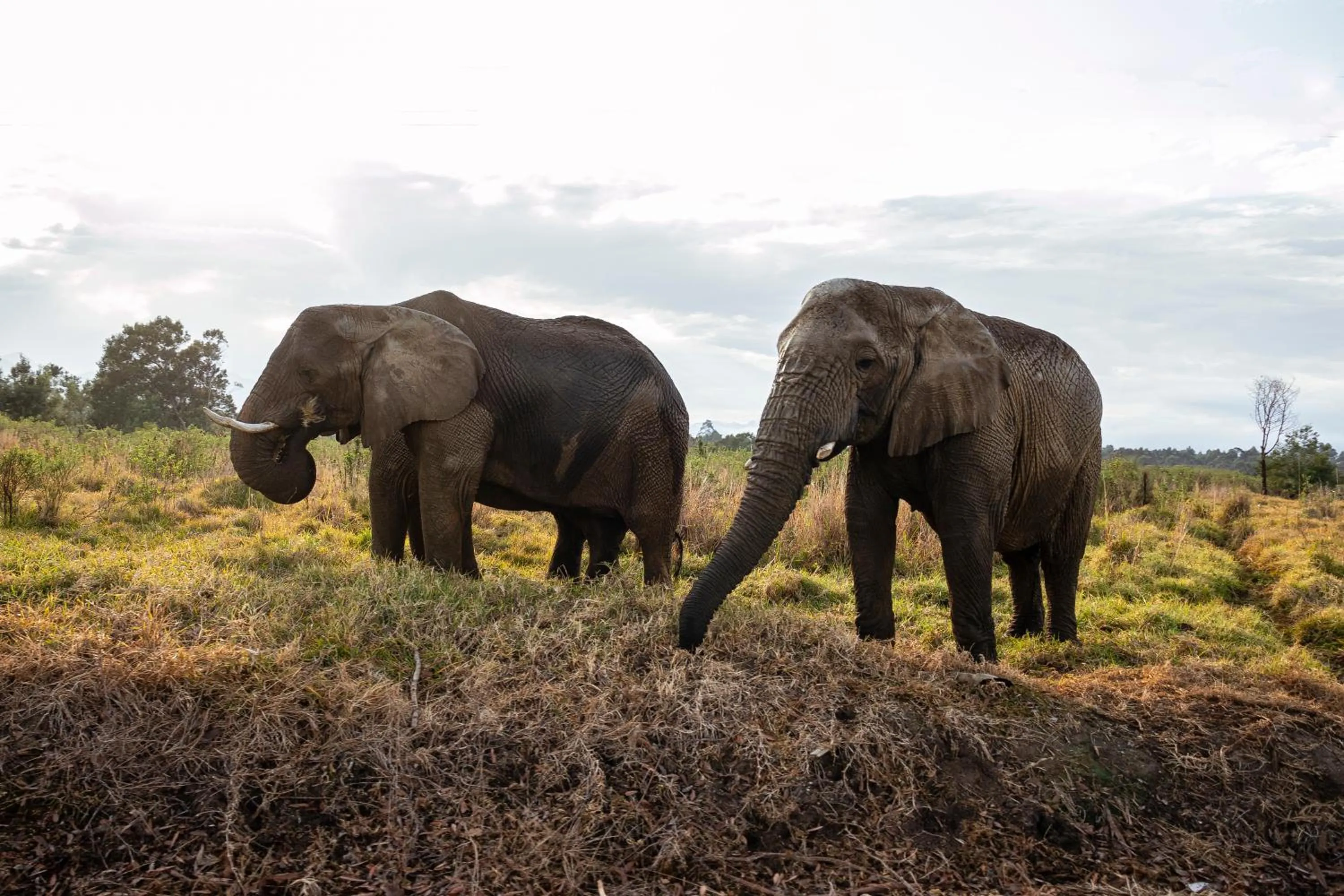 The Plettenberg Hotel