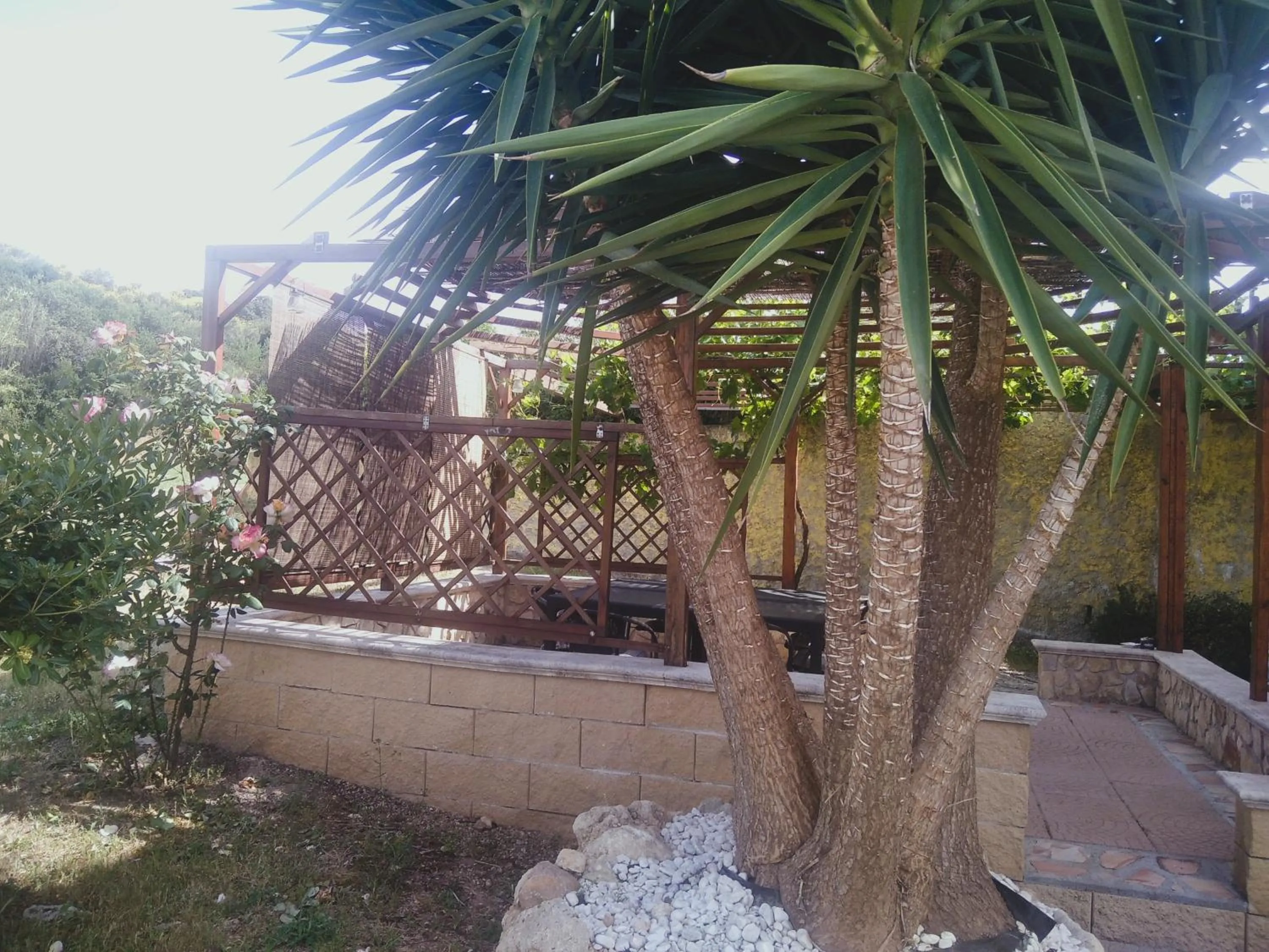 Restaurant/places to eat in Grotta Delle Fate