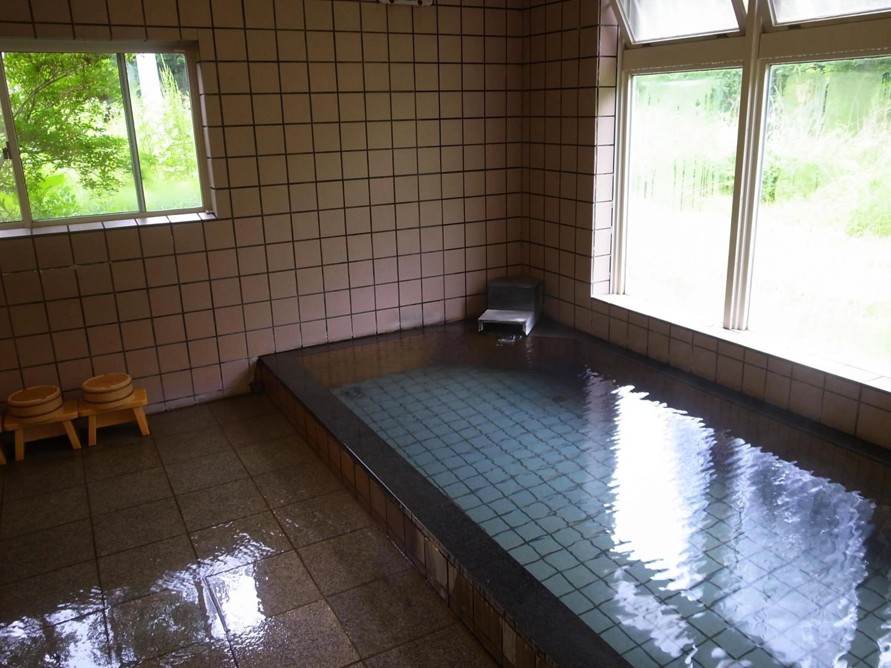 Spa and wellness centre/facilities in Minshuku Takizawa