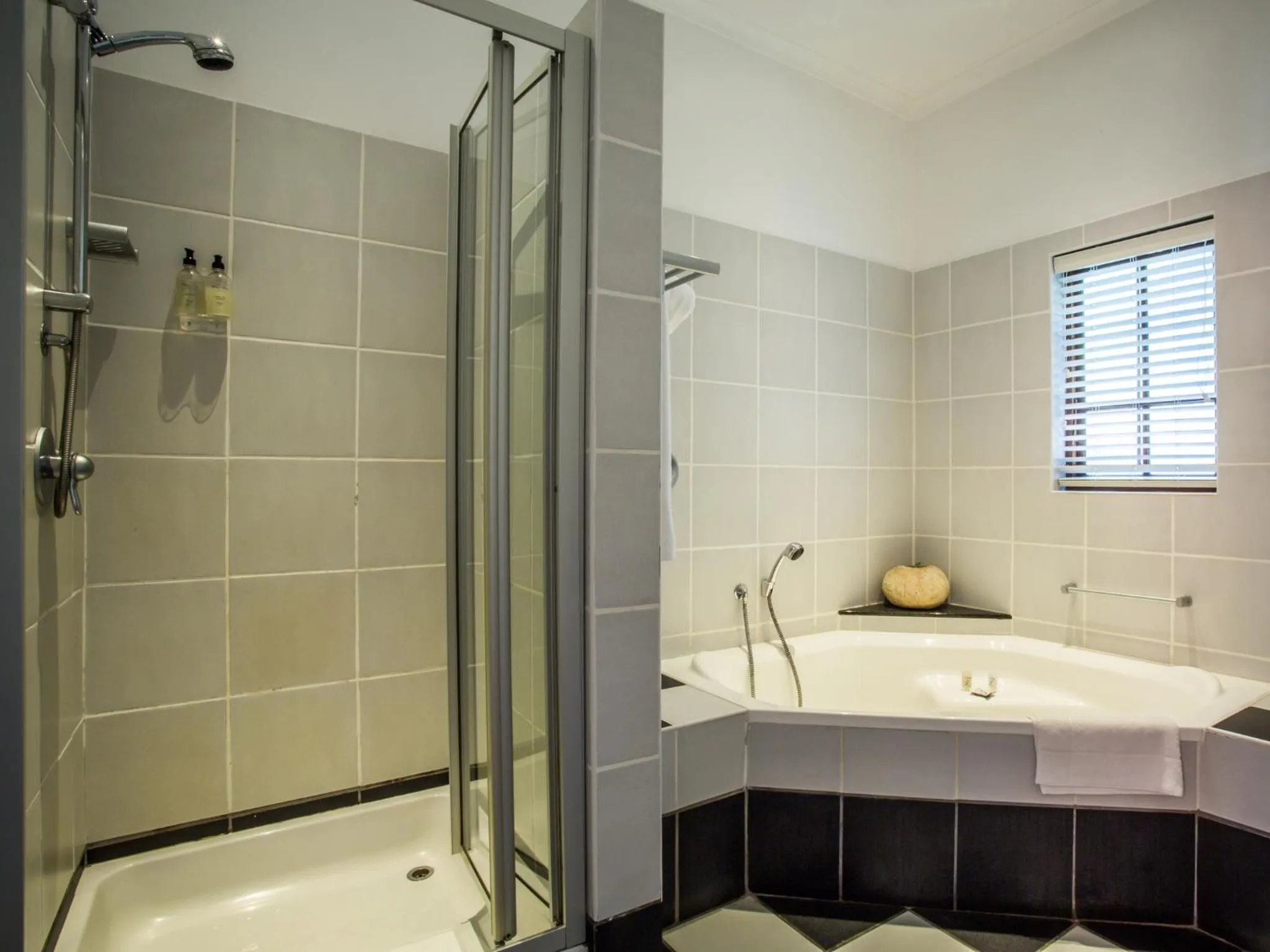 Bathroom in Hlangana Lodge