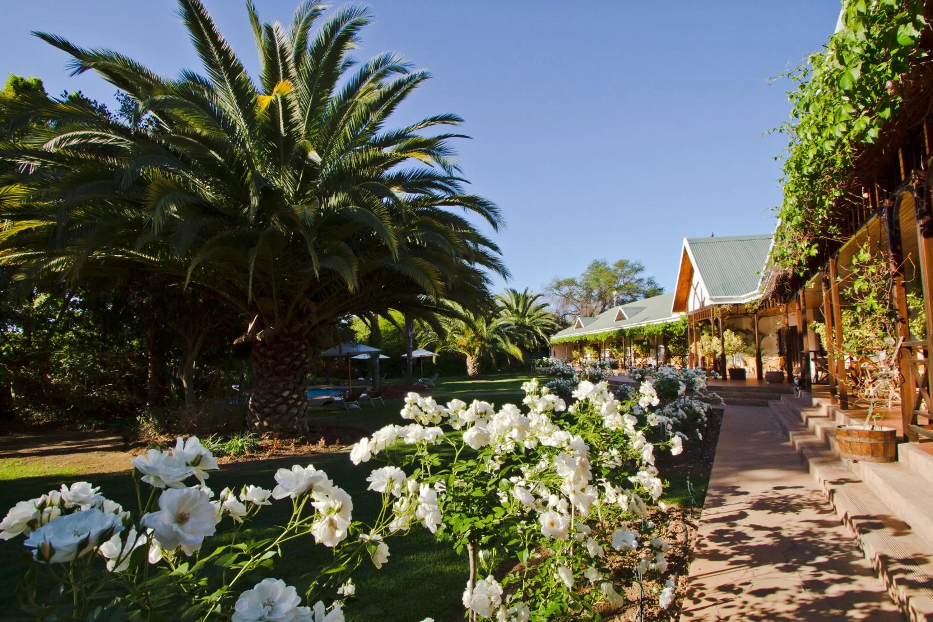 Garden in Hlangana Lodge