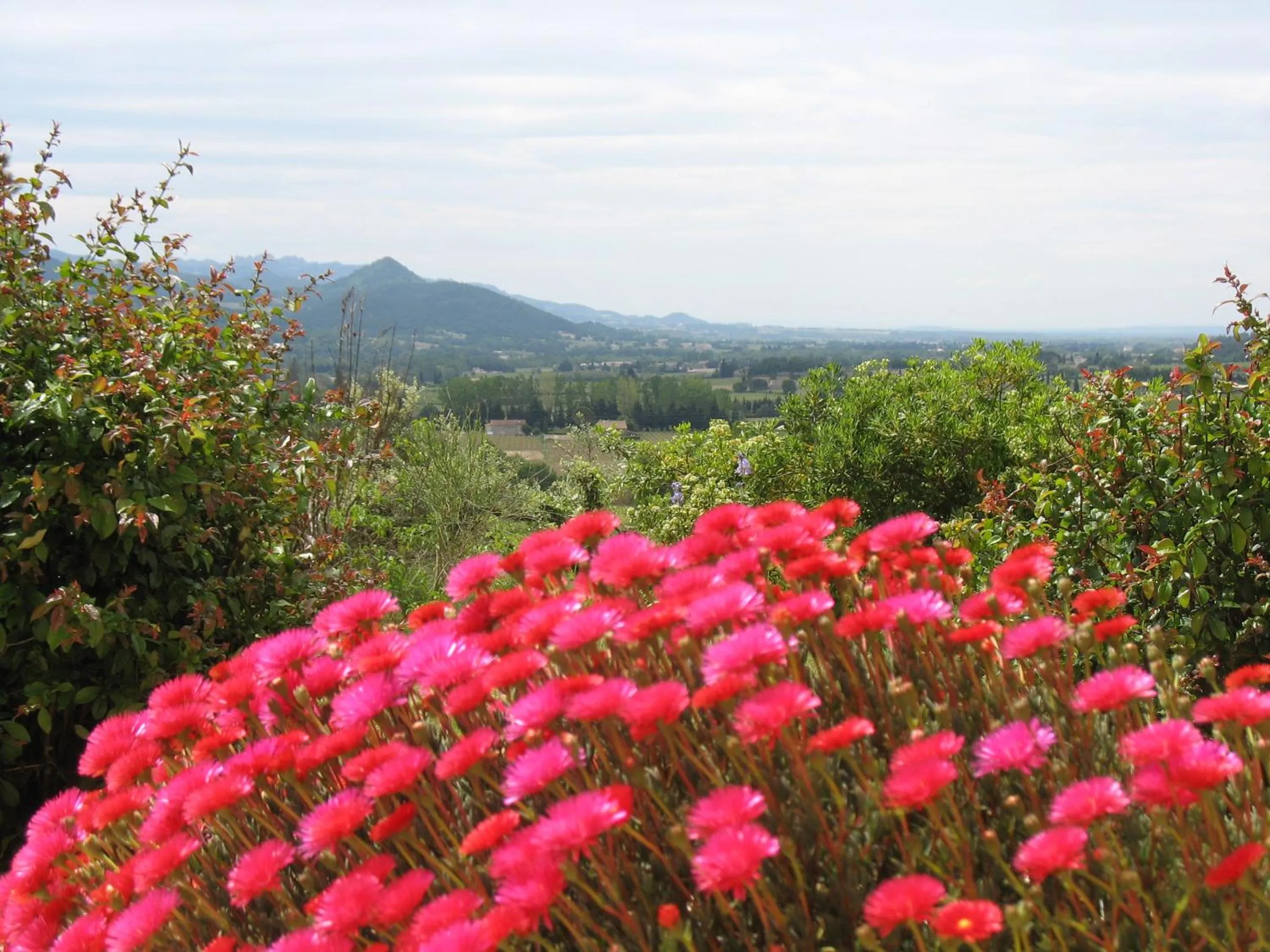 Property building in B&B La Cigaline