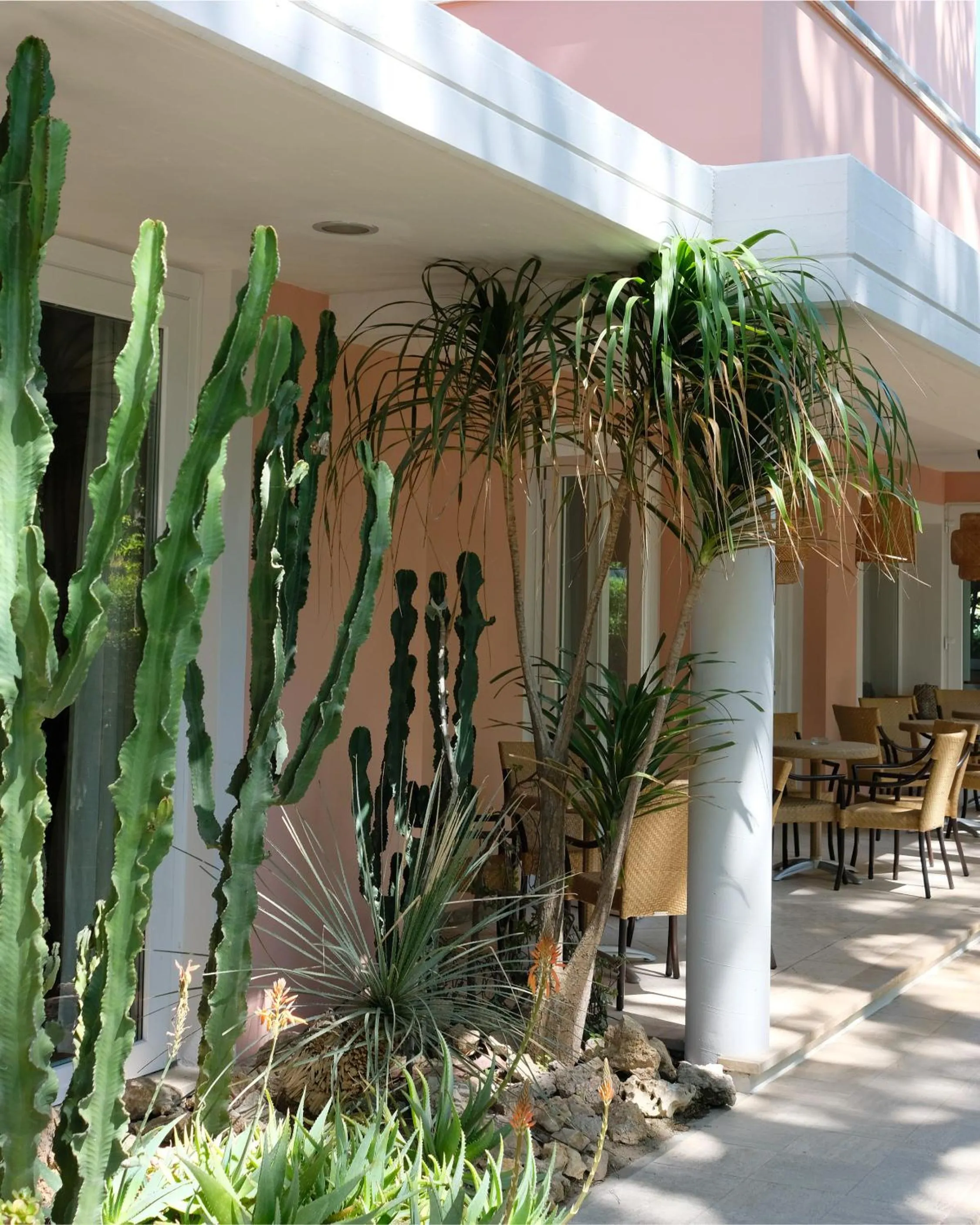 Garden in Hotel Piccolo Mondo