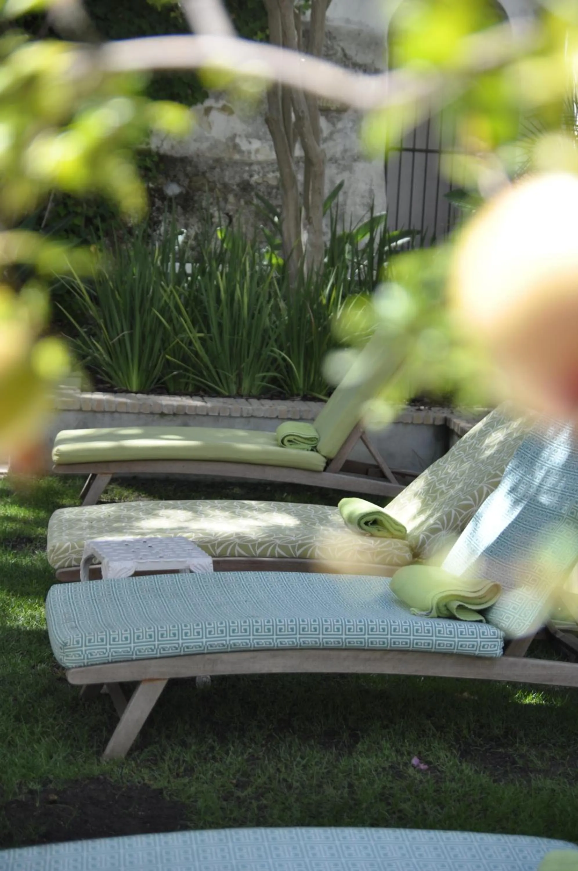 Garden in Oude Werf Hotel