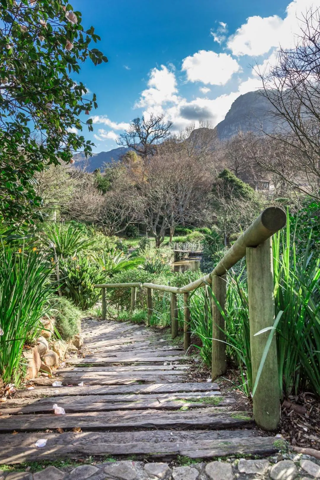 Garden in Vineyard Hotel