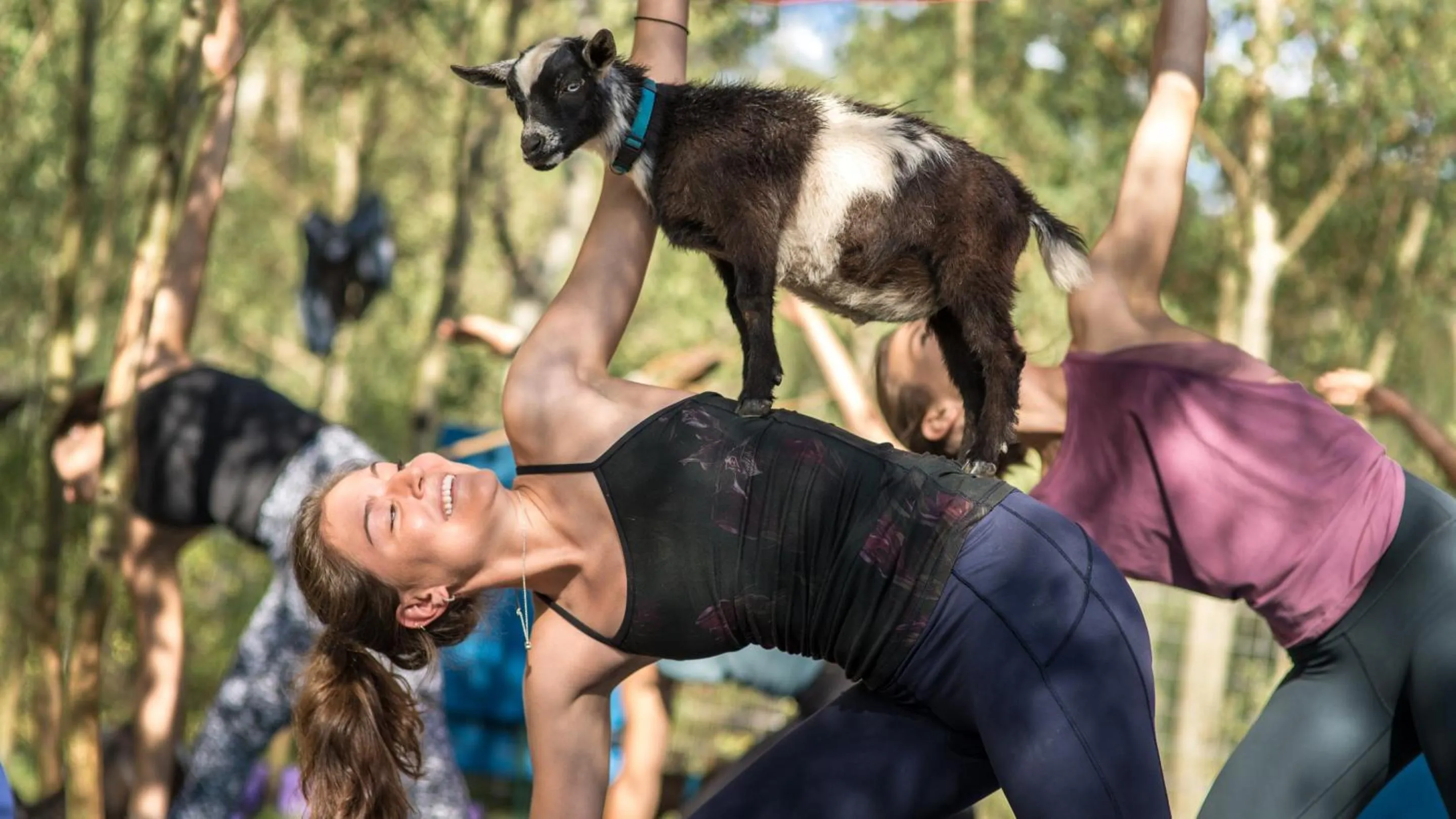 group of guests in Enzian - CoralTree Residence Collection