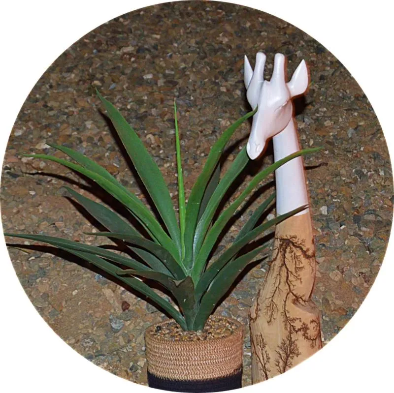 Grand Kruger Lodge and Spa