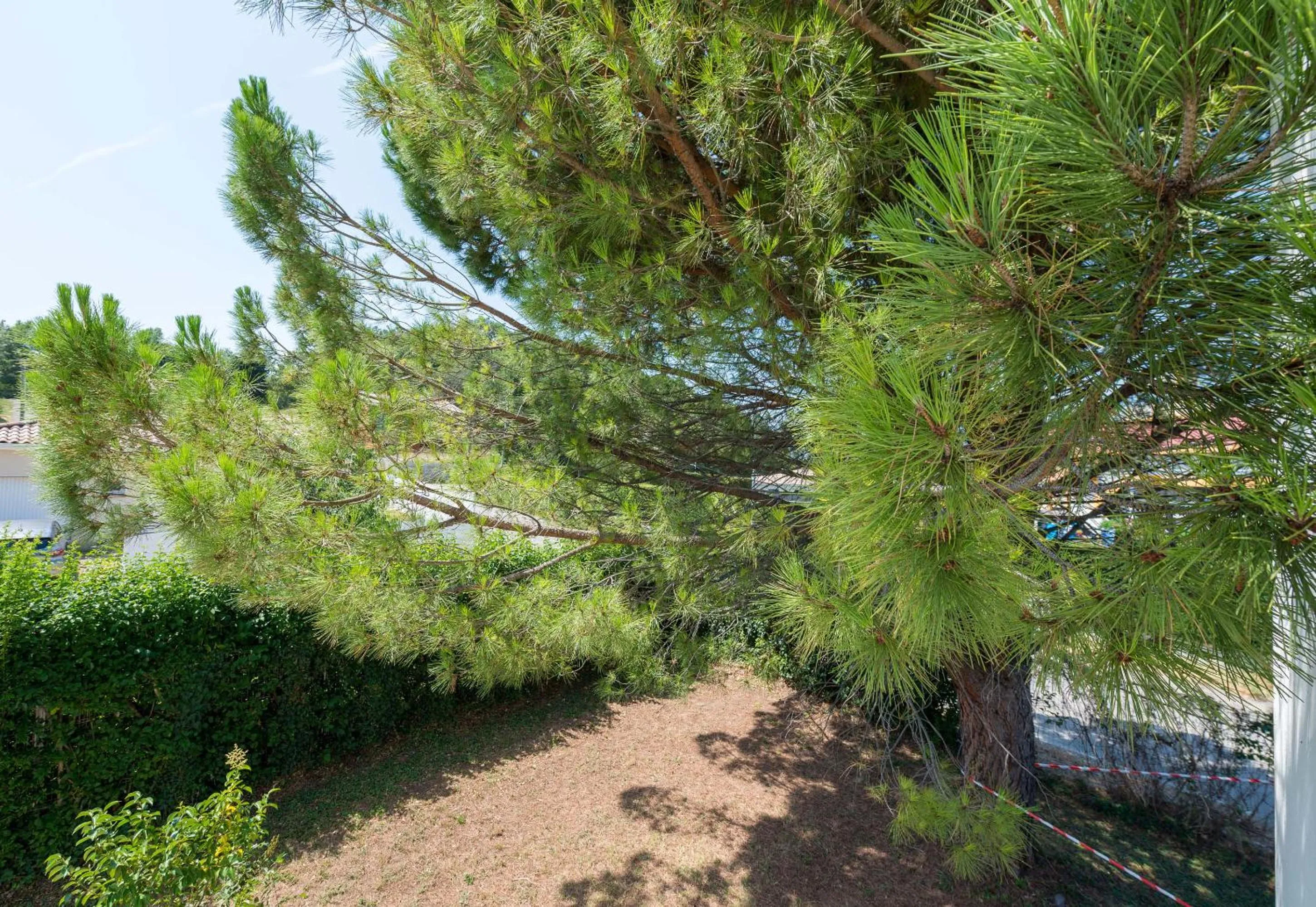 Natural landscape in B&B HOTEL Montélimar Nord