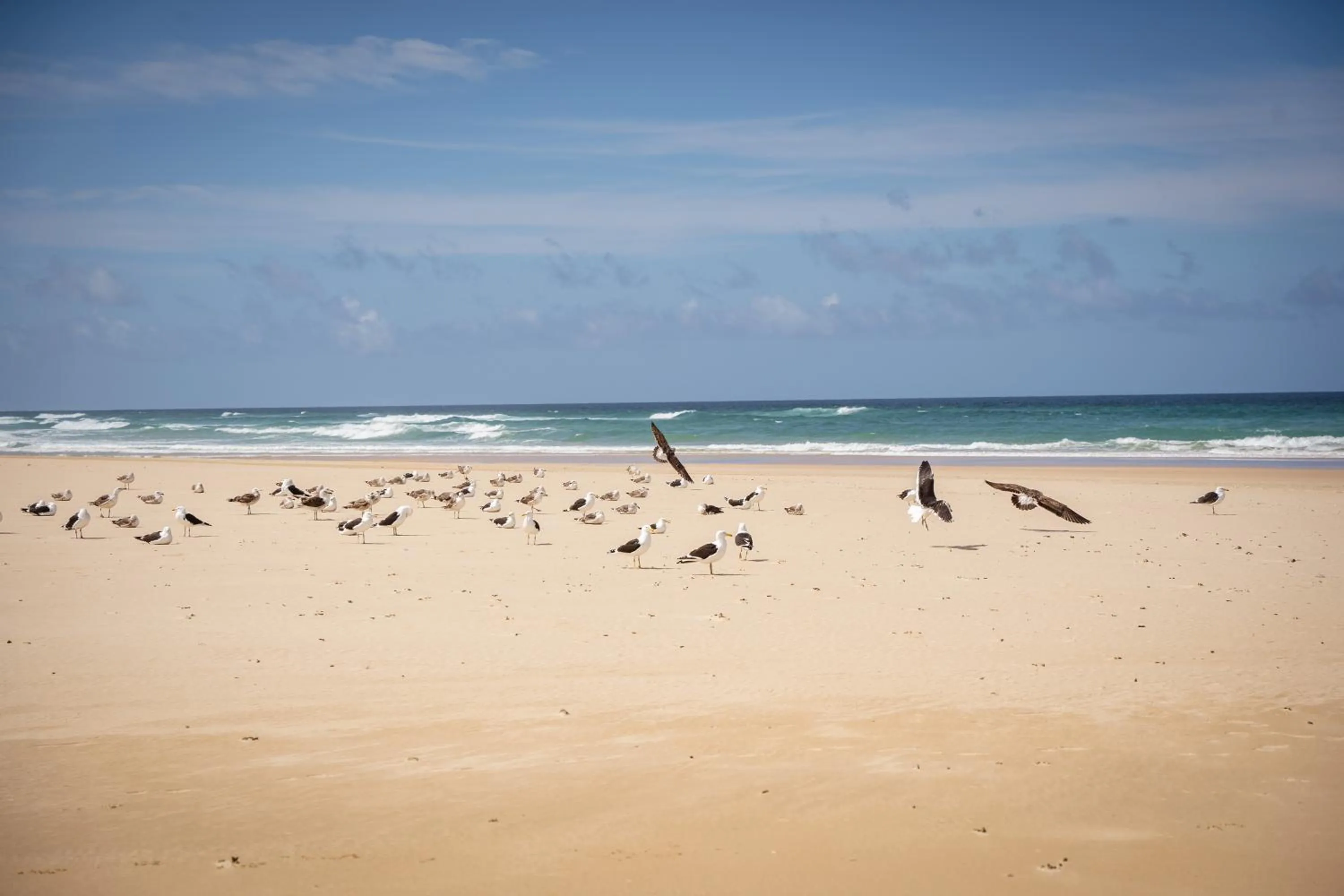 Beach in Oyster Bay Lodge