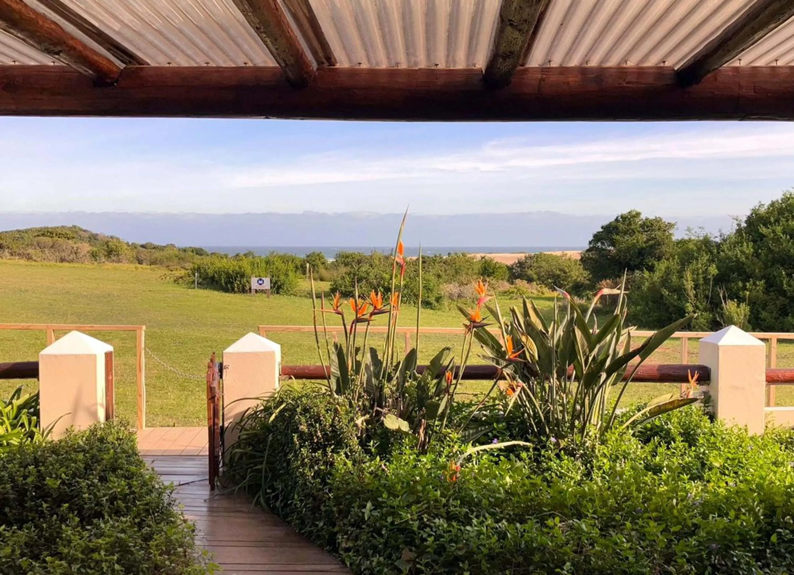 Garden view in Oyster Bay Lodge