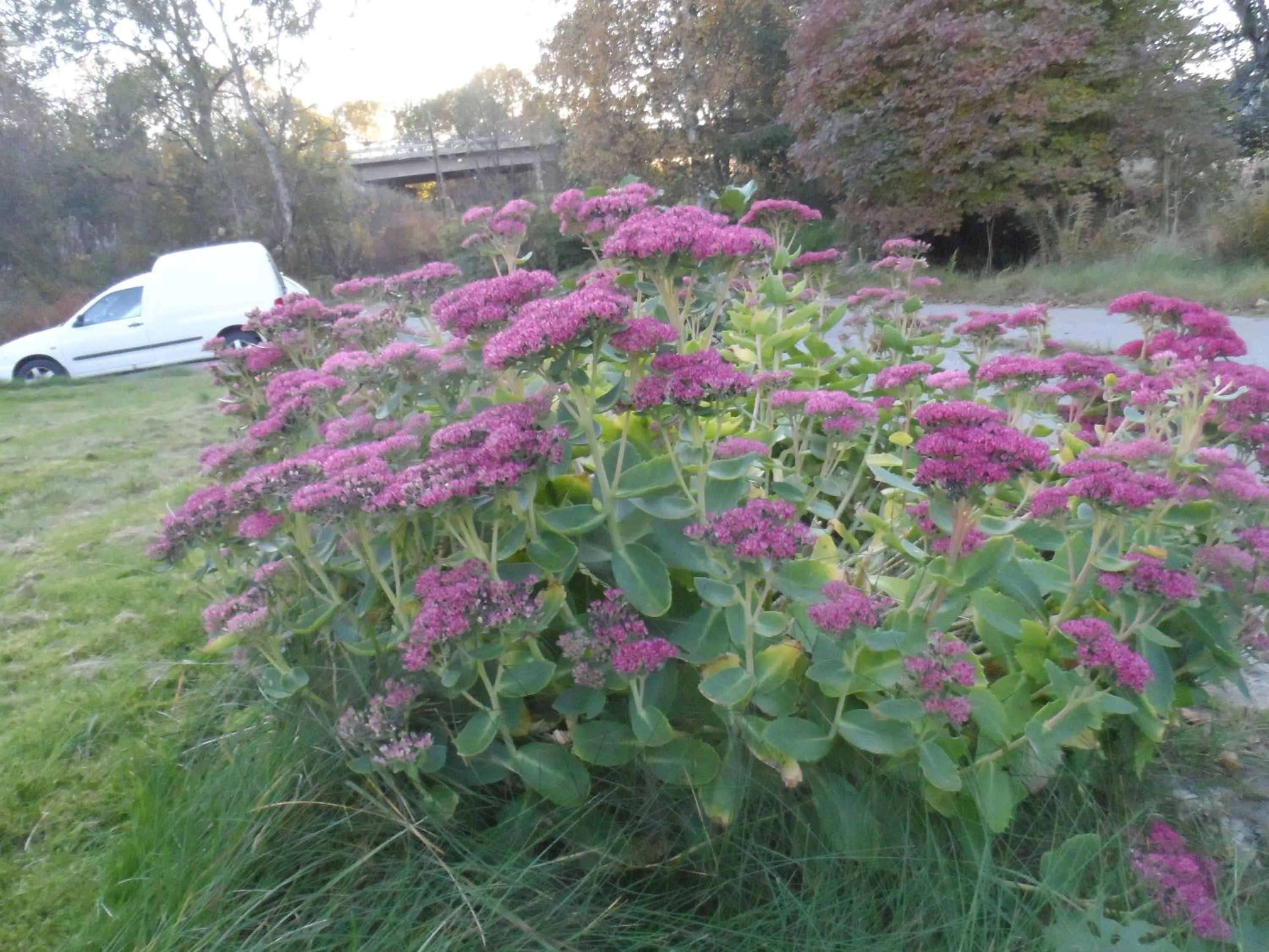 On site in Landvetter BnB