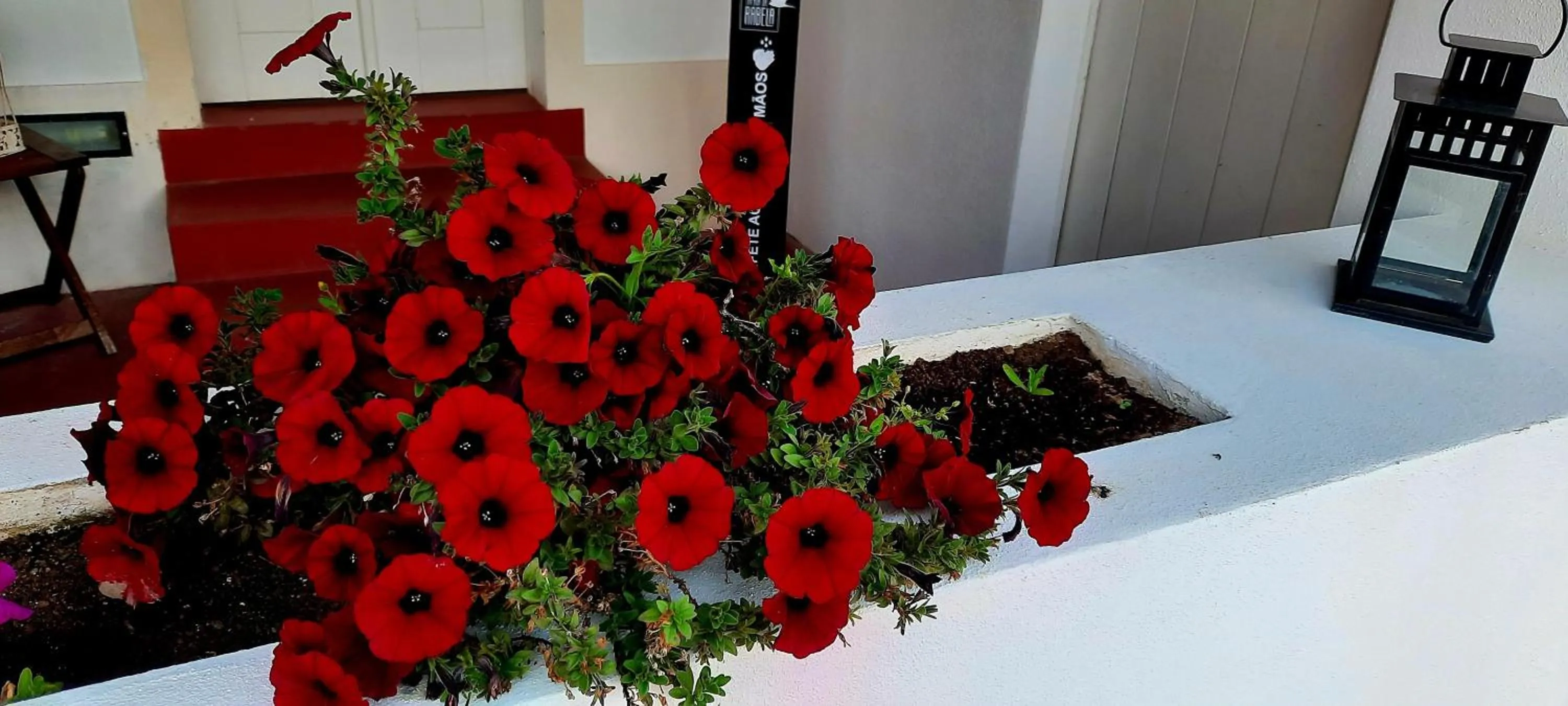 Property building in Tapada da Rabela - Reserva Natural