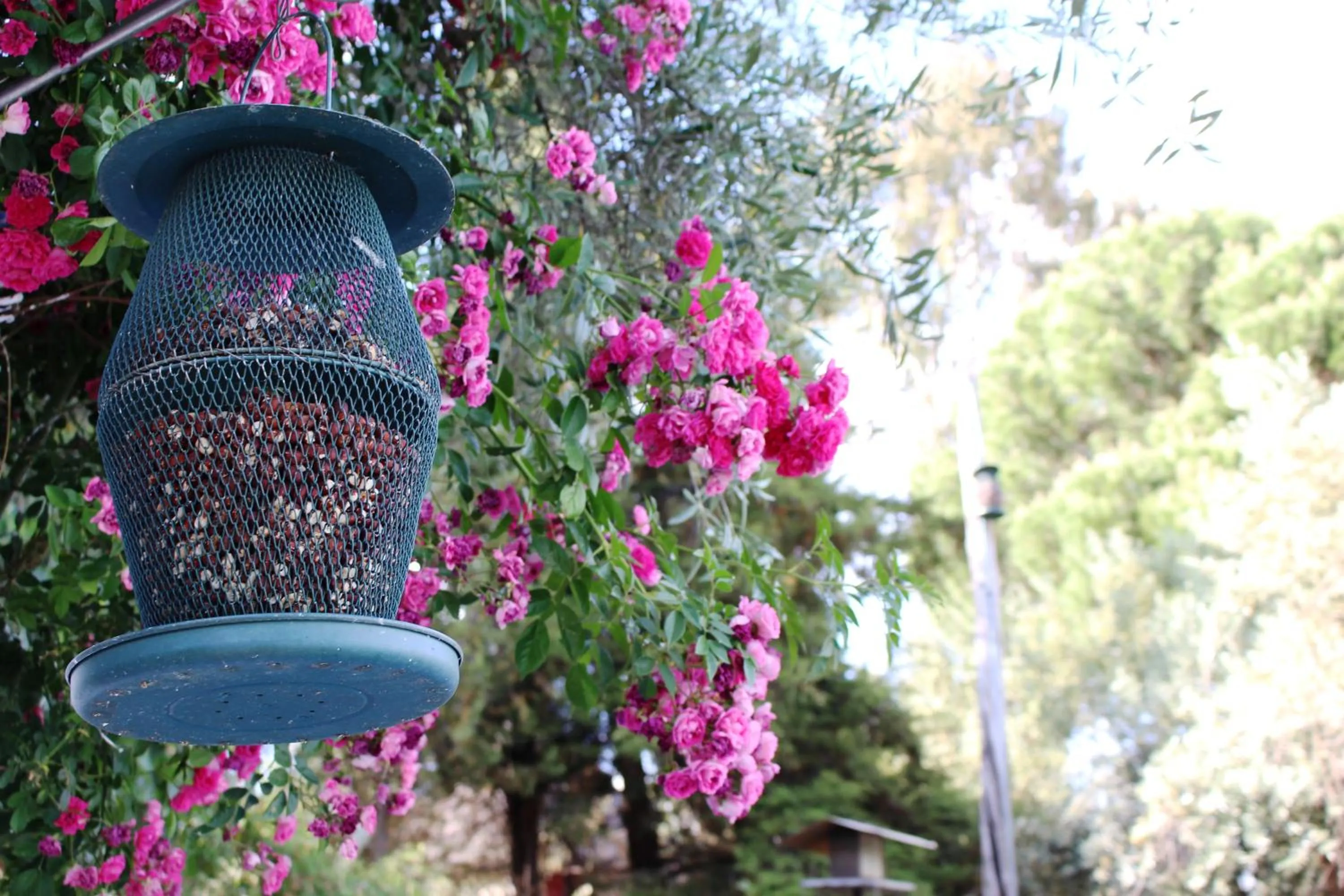 Garden in Tapada da Rabela - Reserva Natural
