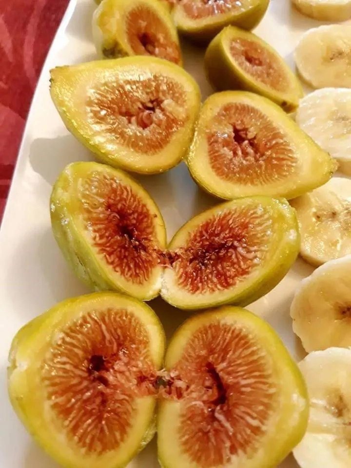 Food and drinks in Tapada da Rabela - Reserva Natural