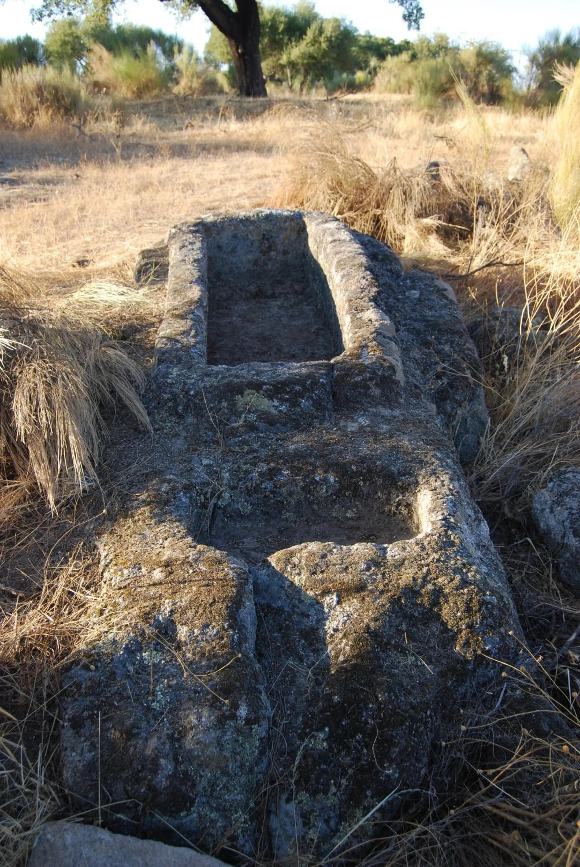 Landmark view in Tapada da Rabela - Reserva Natural