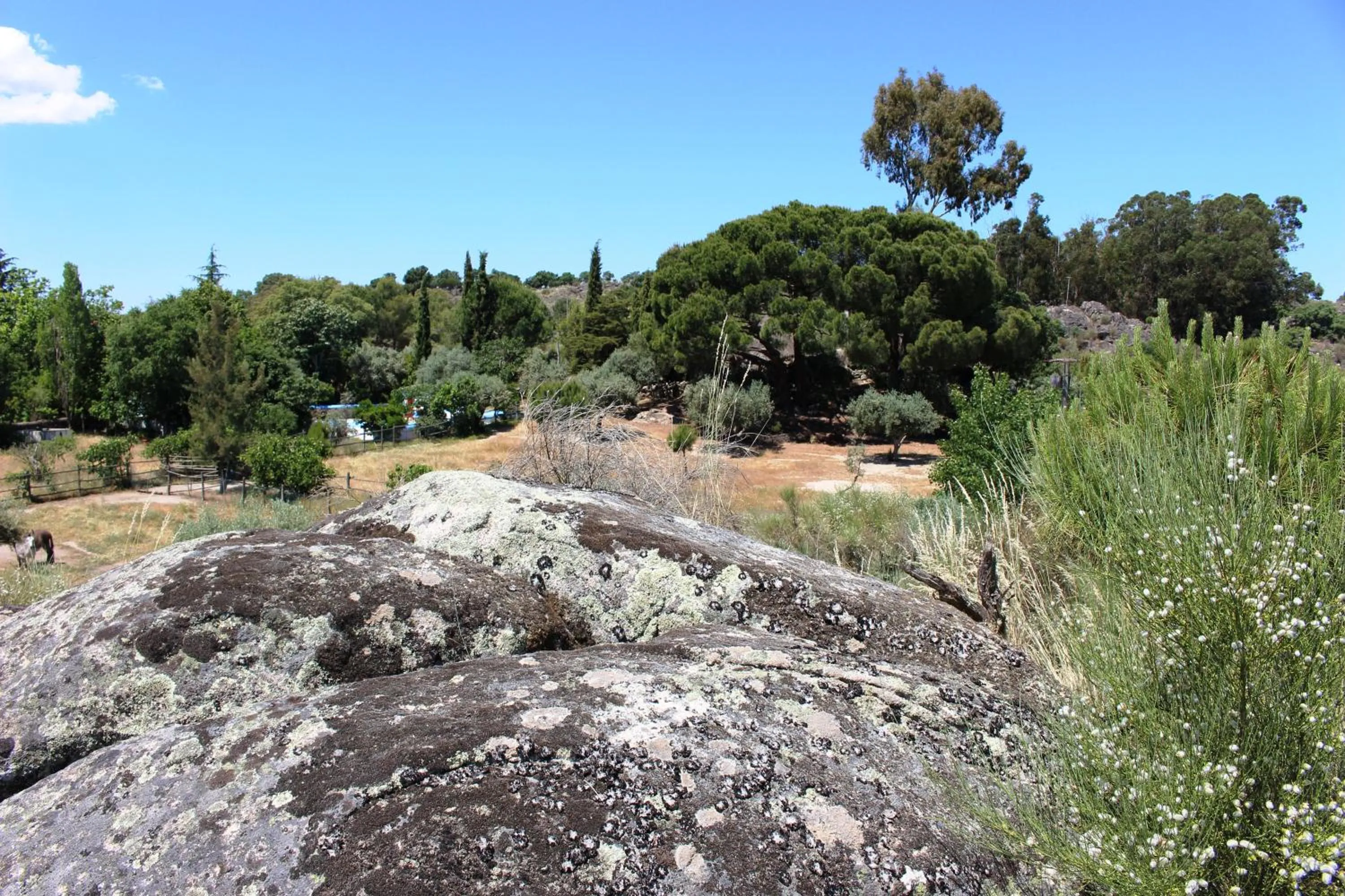 Natural landscape in Tapada da Rabela - Reserva Natural