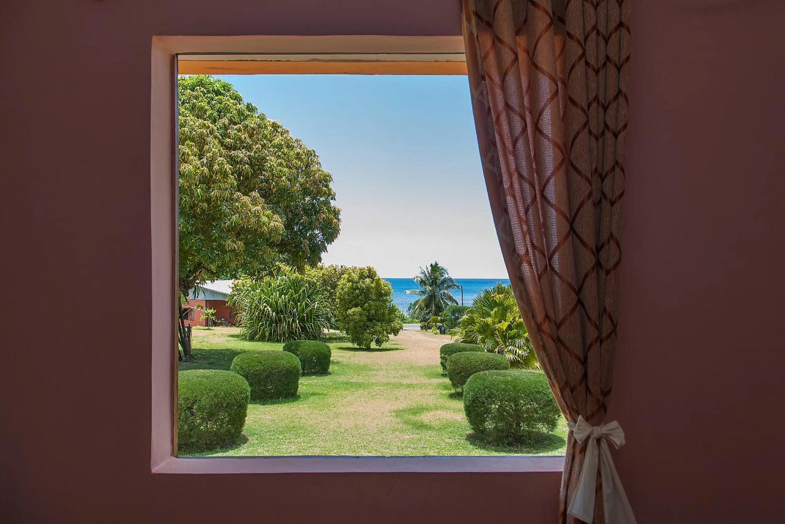 Garden view in Hotel Nautile