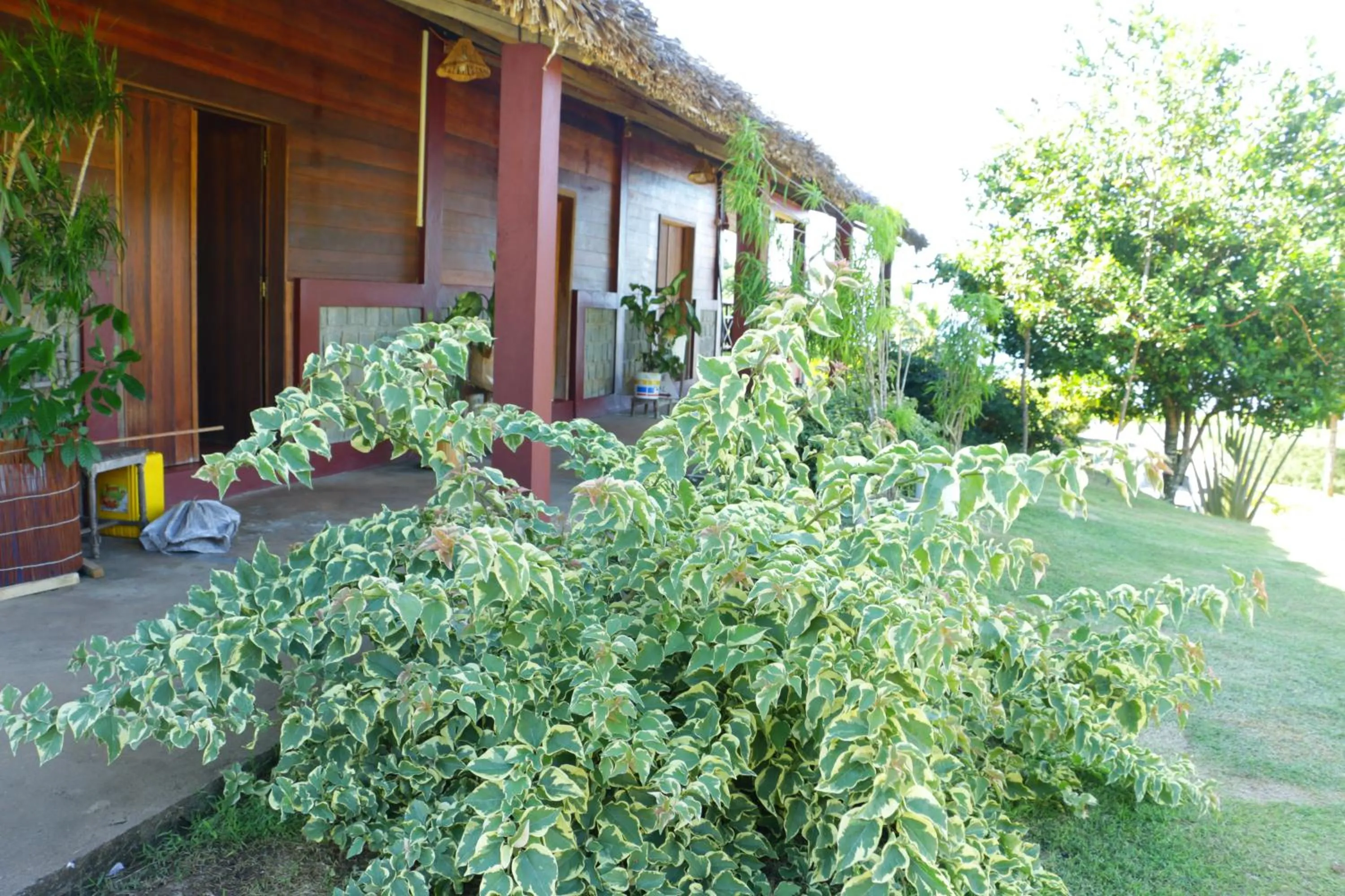 Balcony/Terrace in Hotel Nautile