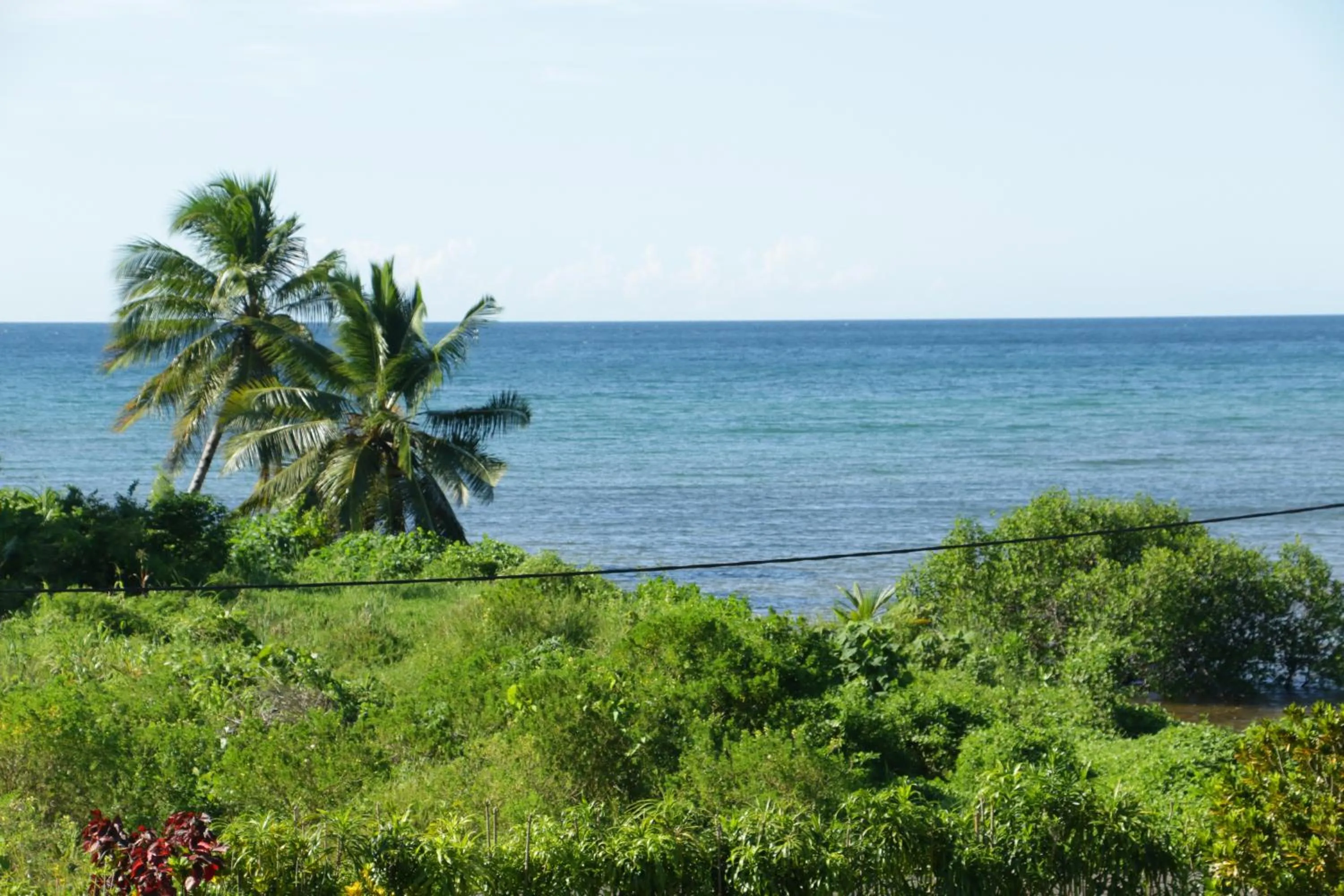 Natural landscape in Hotel Nautile
