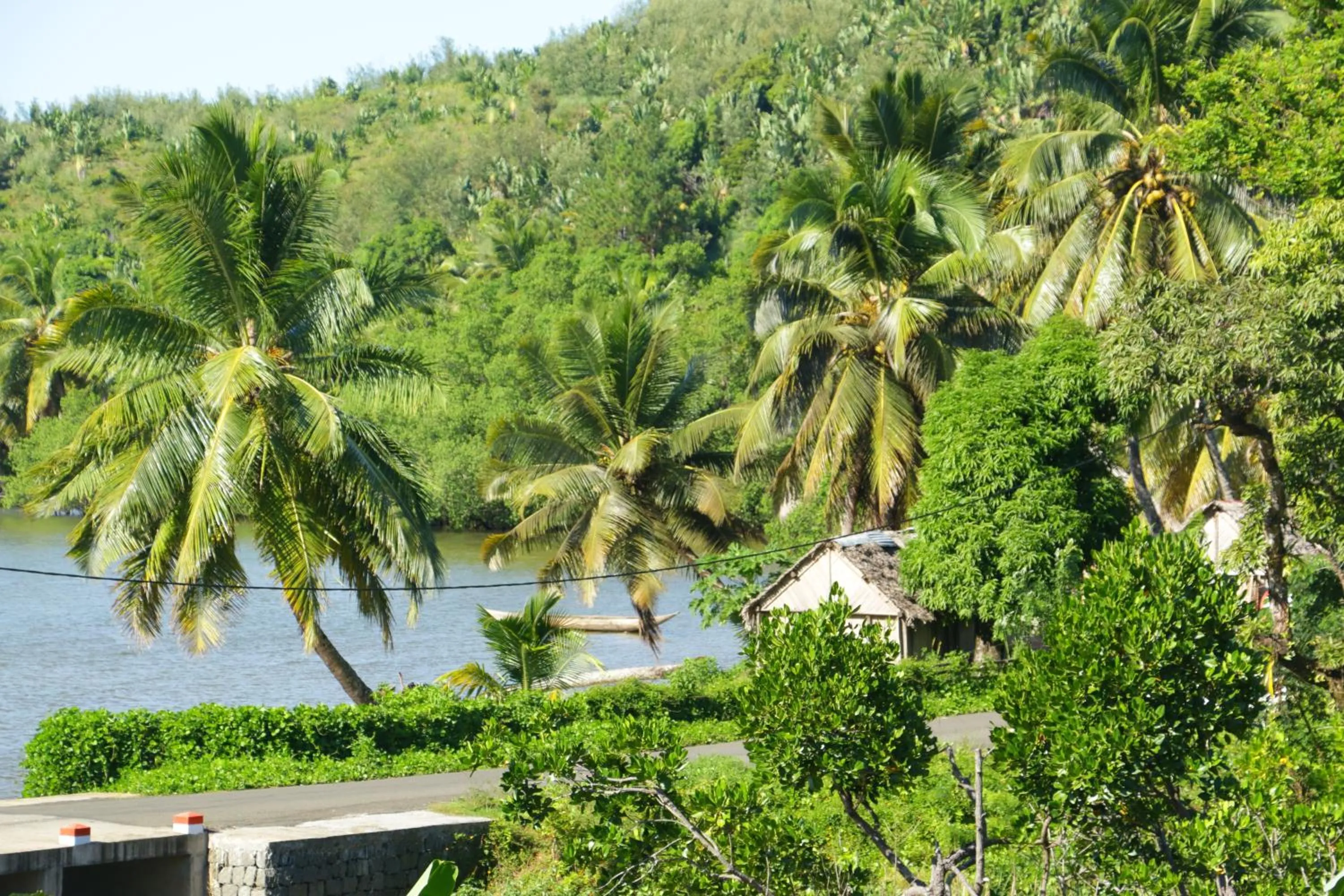 Natural landscape in Hotel Nautile