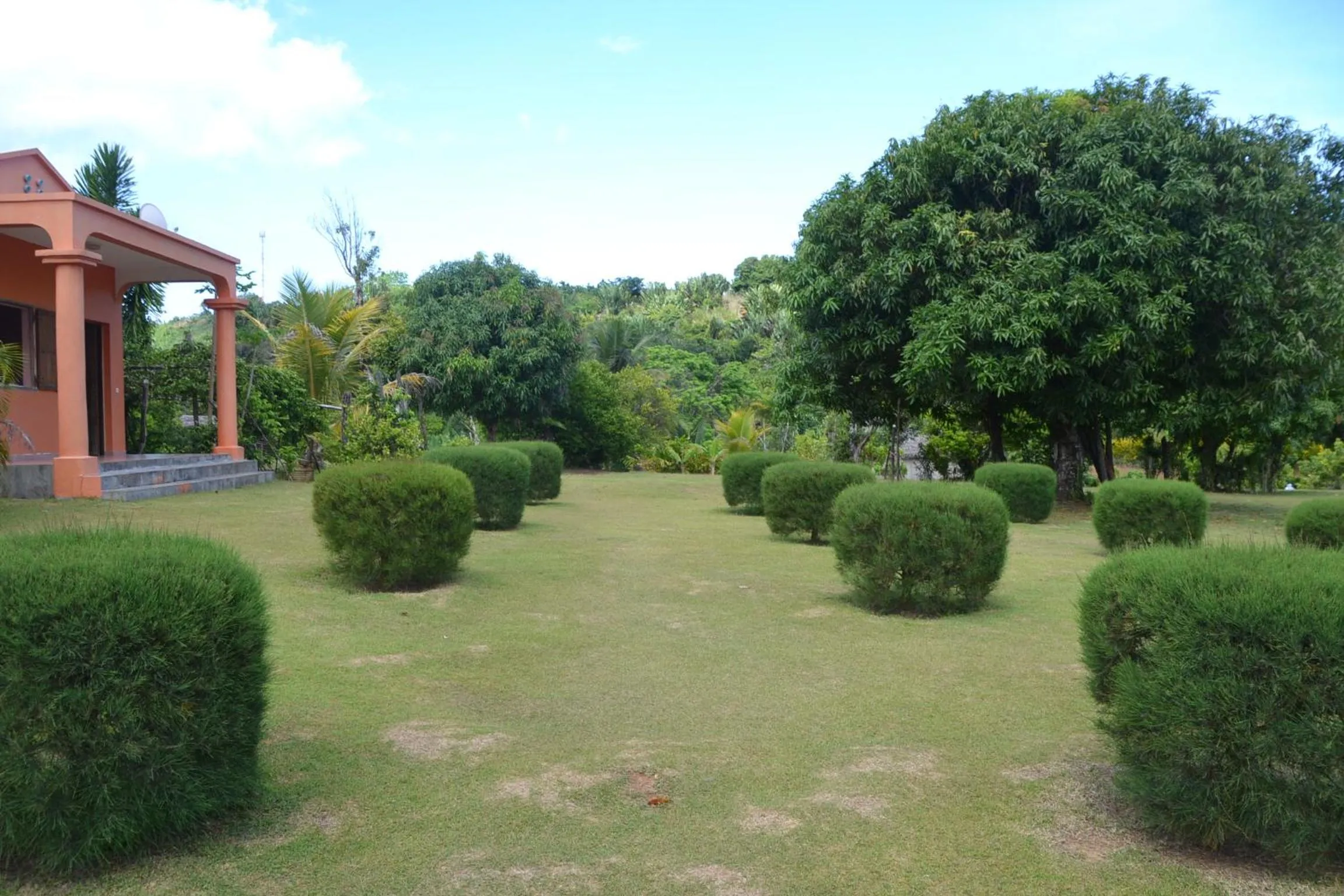 Garden in Hotel Nautile