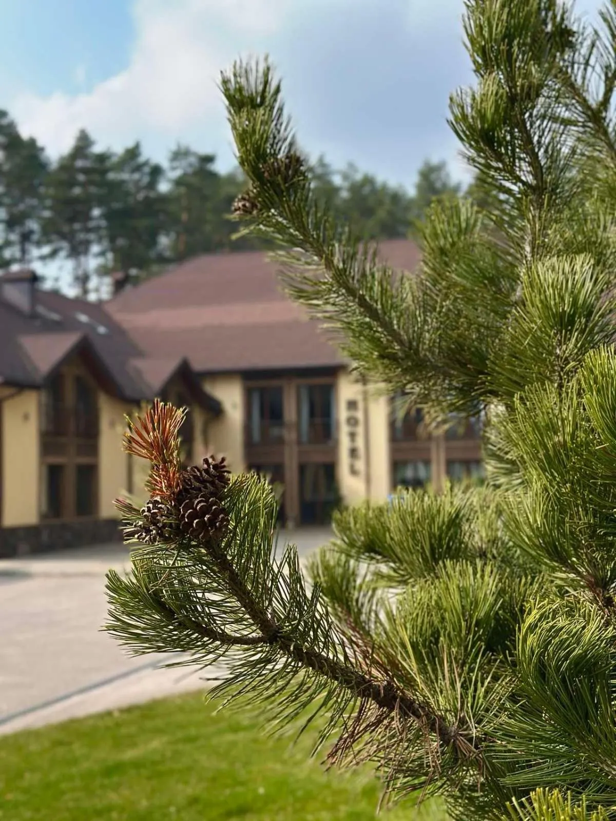 Property building in Kryve Ozero